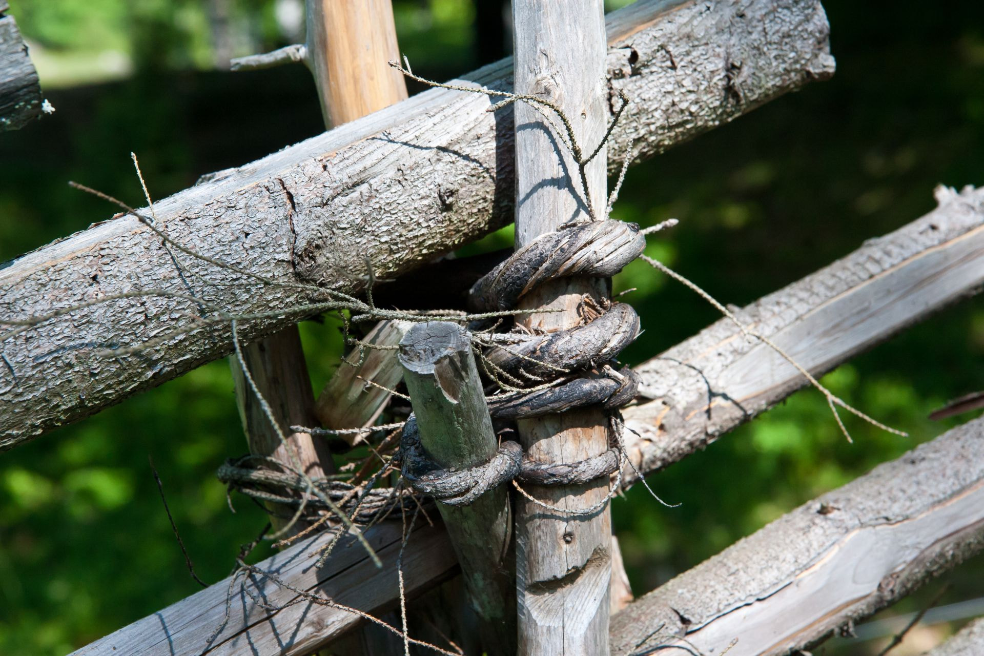 Canon EOS 30D sample photo. Schwedenzaun photography