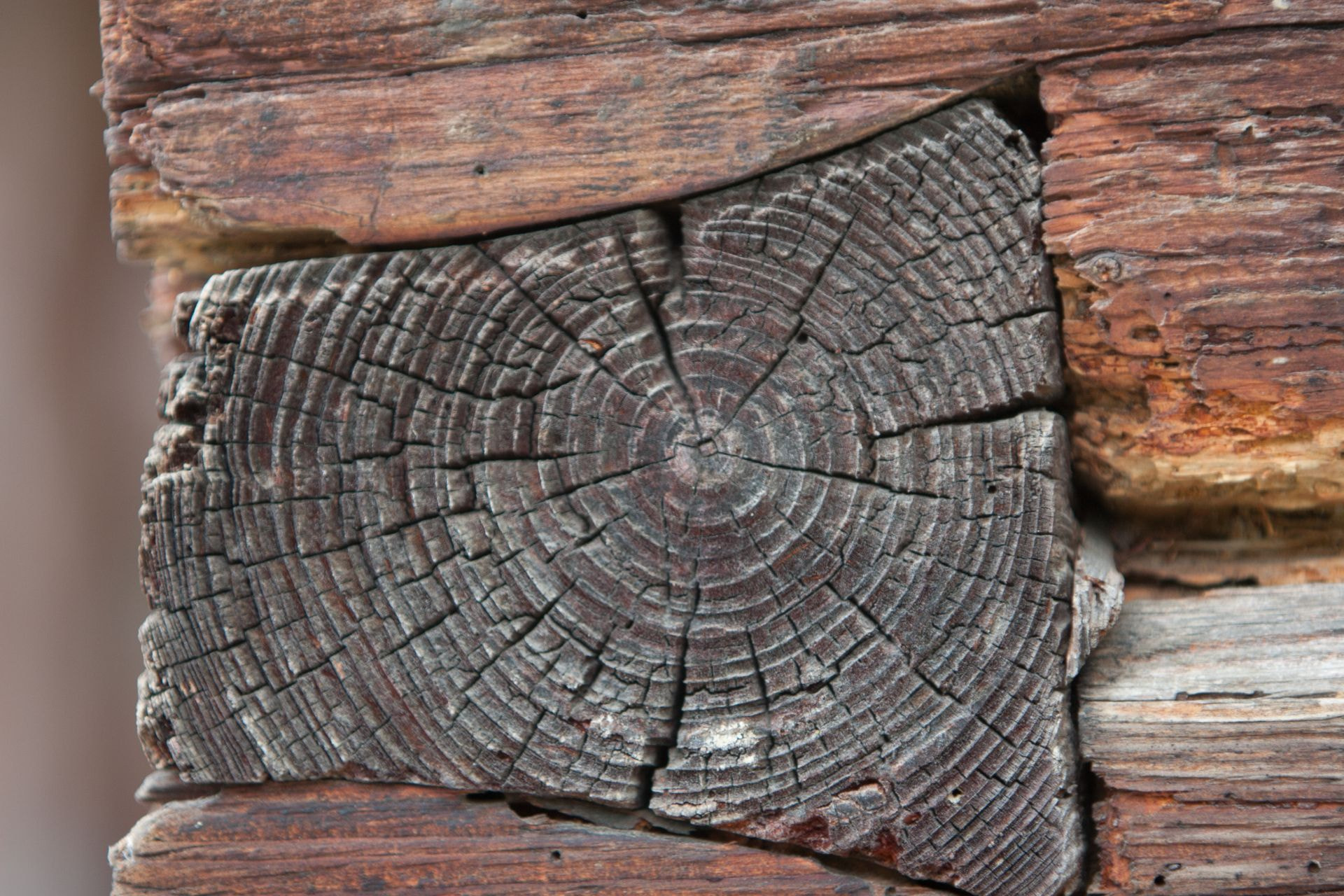 Canon EF 70-200mm F2.8L IS USM sample photo. Altes holzhaus photography