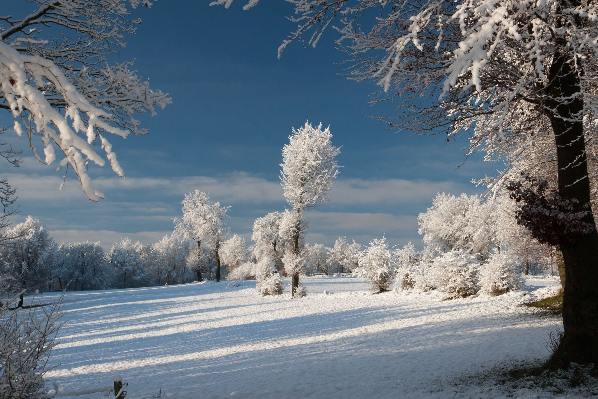 Canon EOS 30D sample photo. Winterstimmung photography