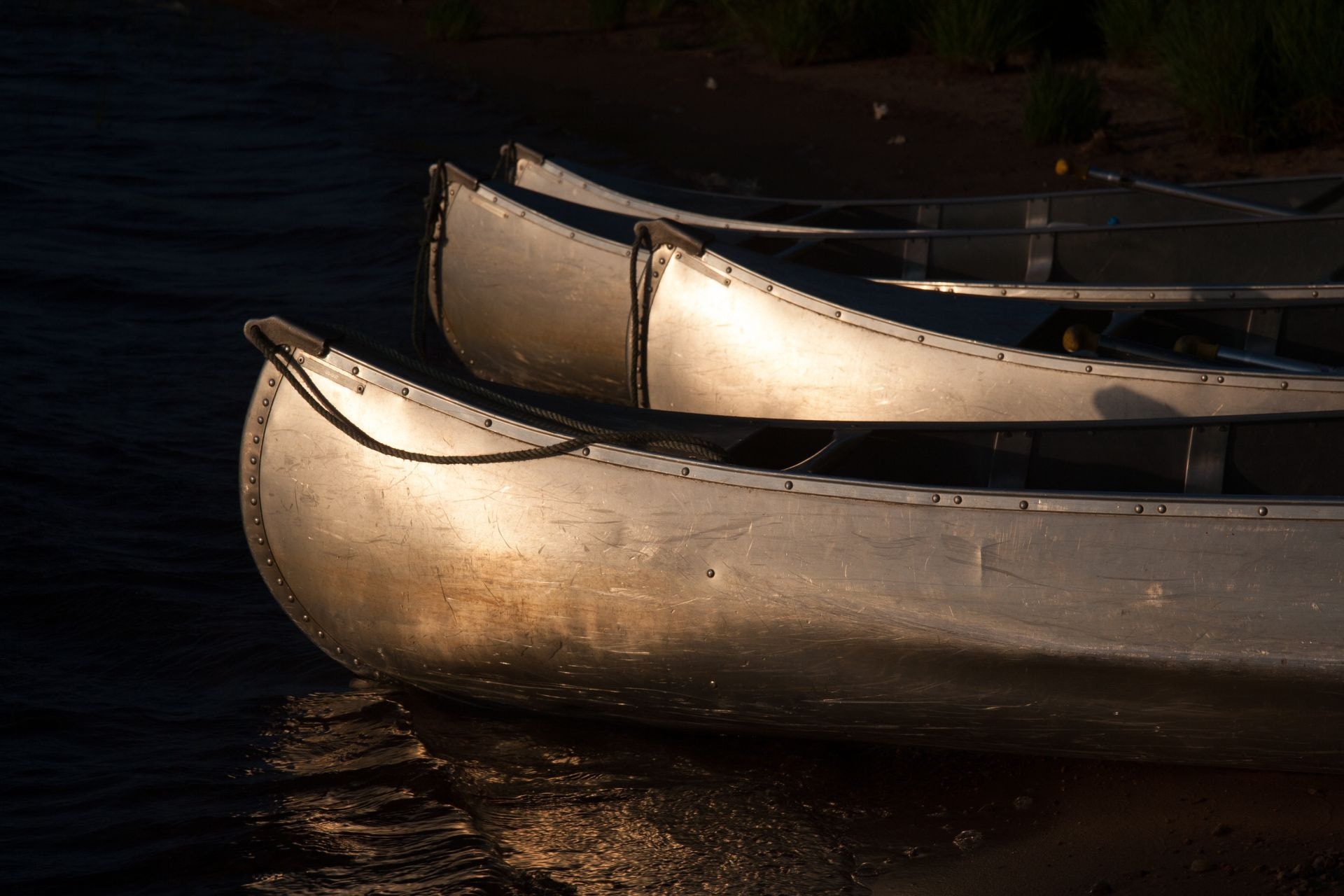 Canon EOS 30D sample photo. Kanus in abendsonne photography