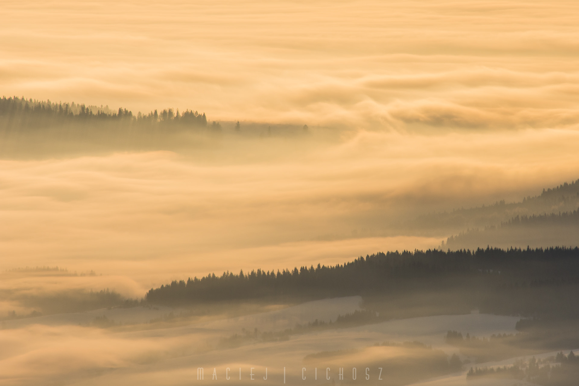 Nikon D7200 sample photo. Sea of clouds photography