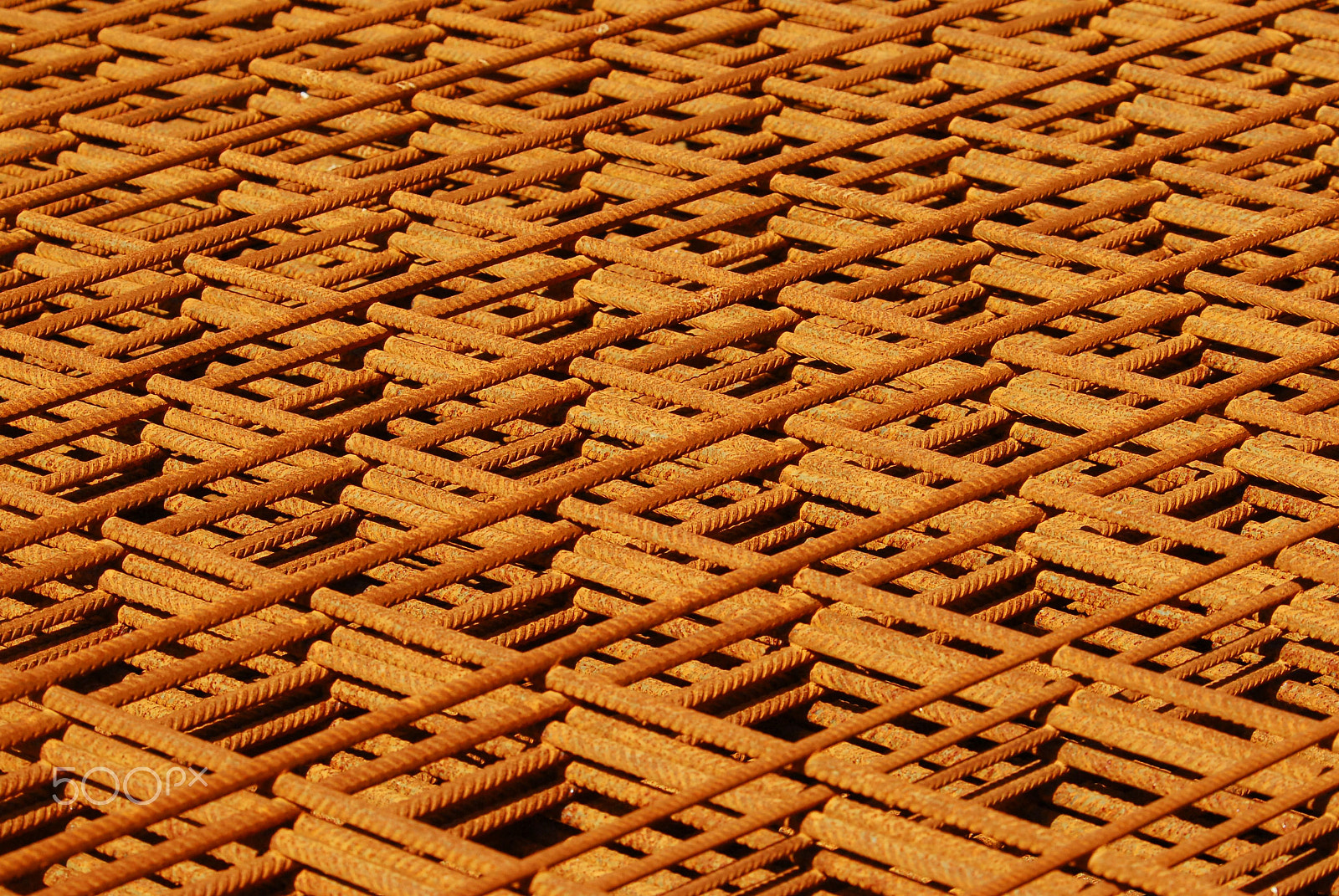 Nikon D200 sample photo. Grid photography
