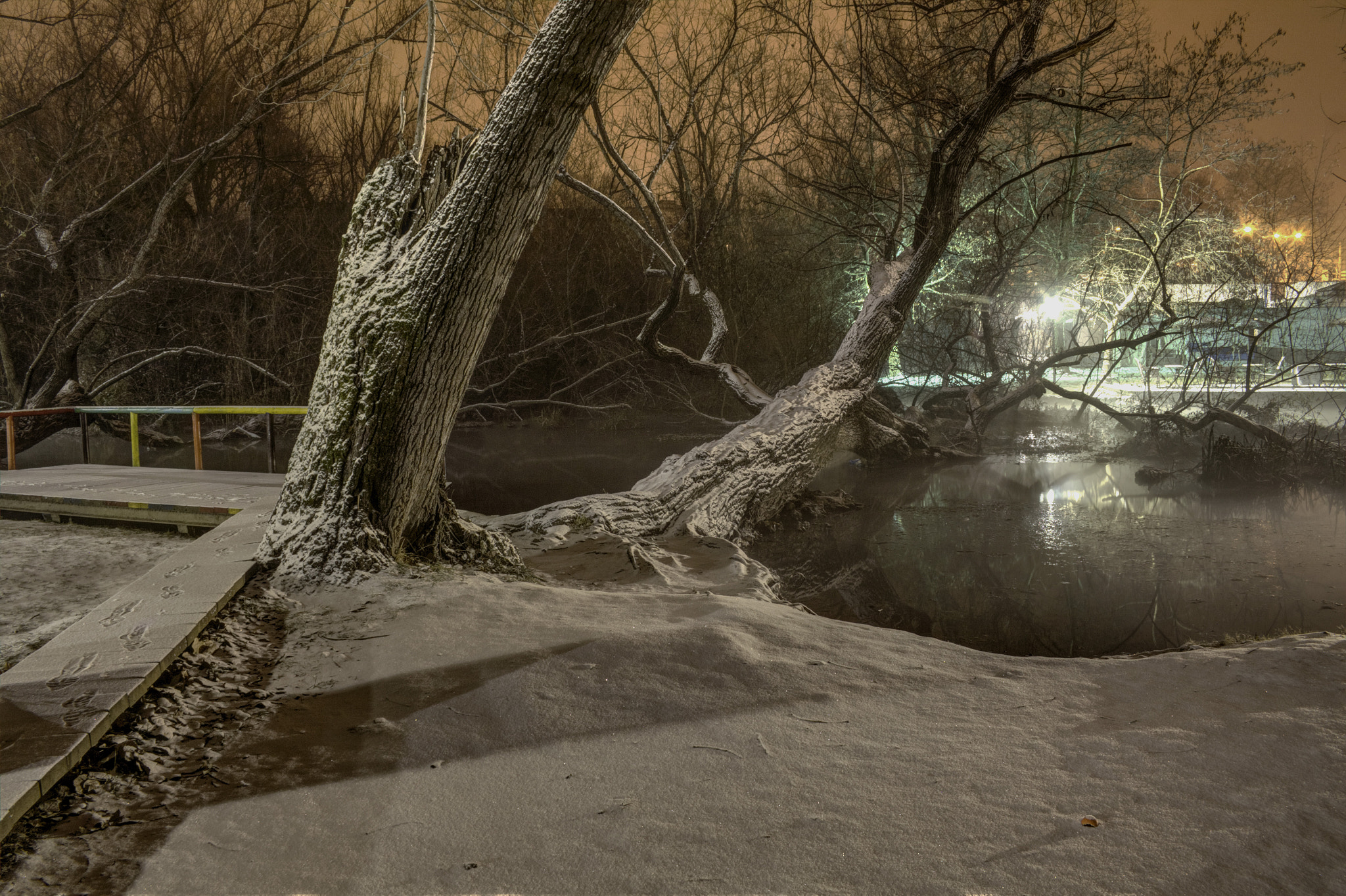 Canon EF-S 18-55mm F3.5-5.6 II sample photo. St. barbara park photography