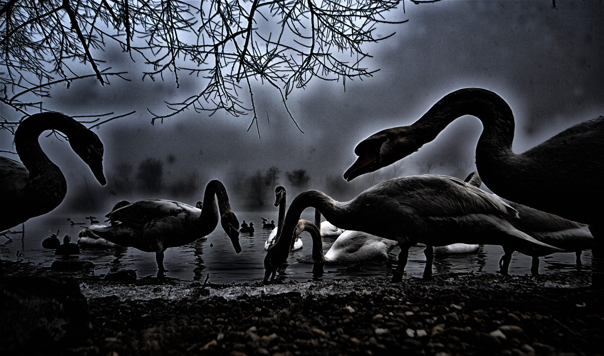 Canon EOS-1Ds Mark II sample photo. Dinosaur photography