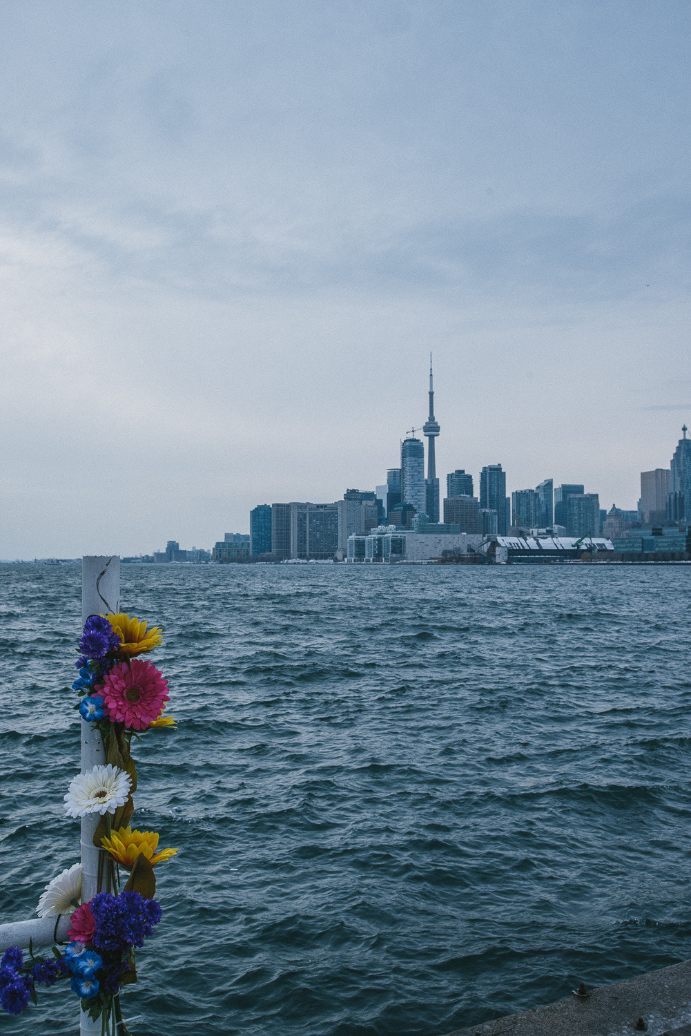 Nikon D800 sample photo. Toronto photography