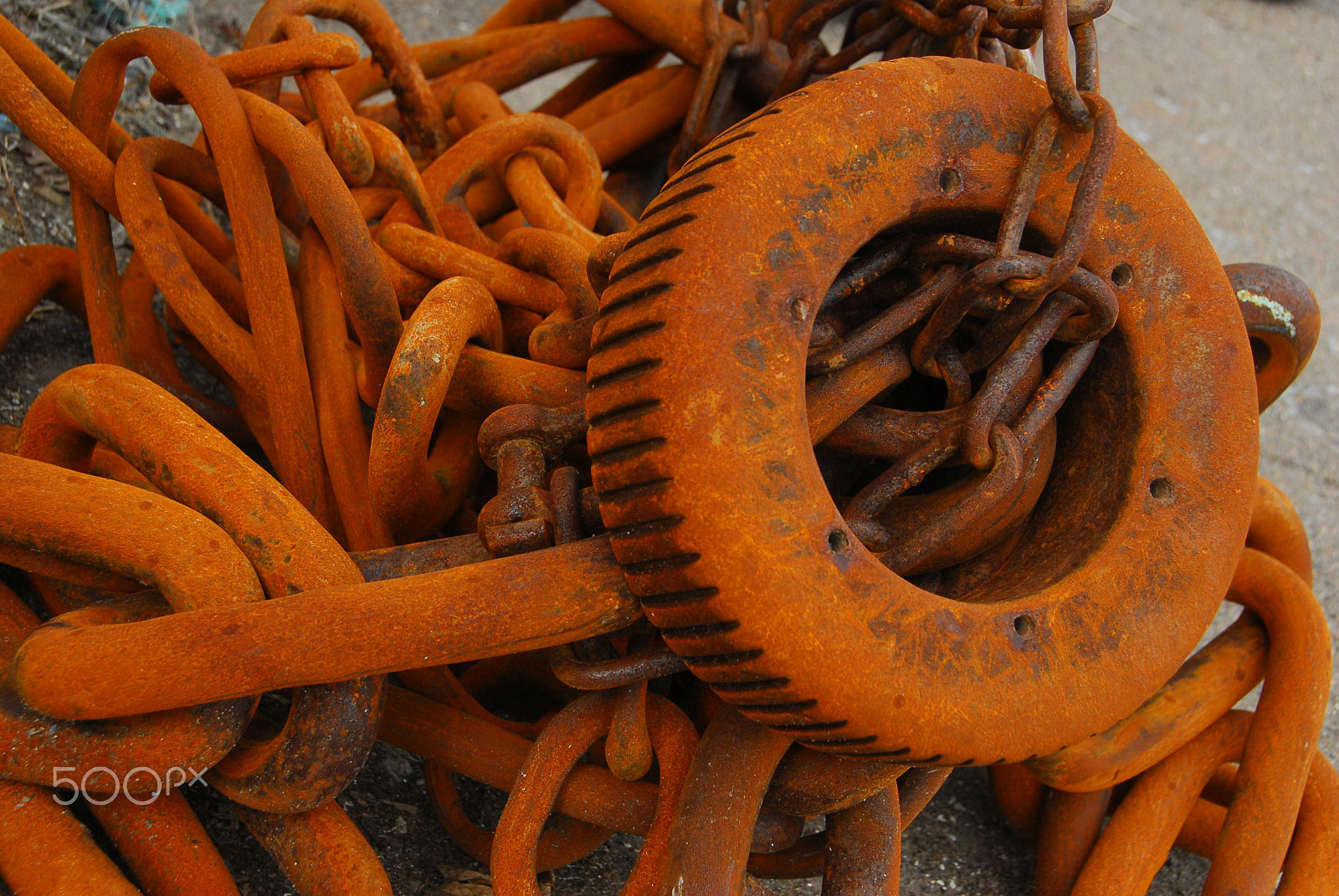 Nikon D200 sample photo. Scrap photography
