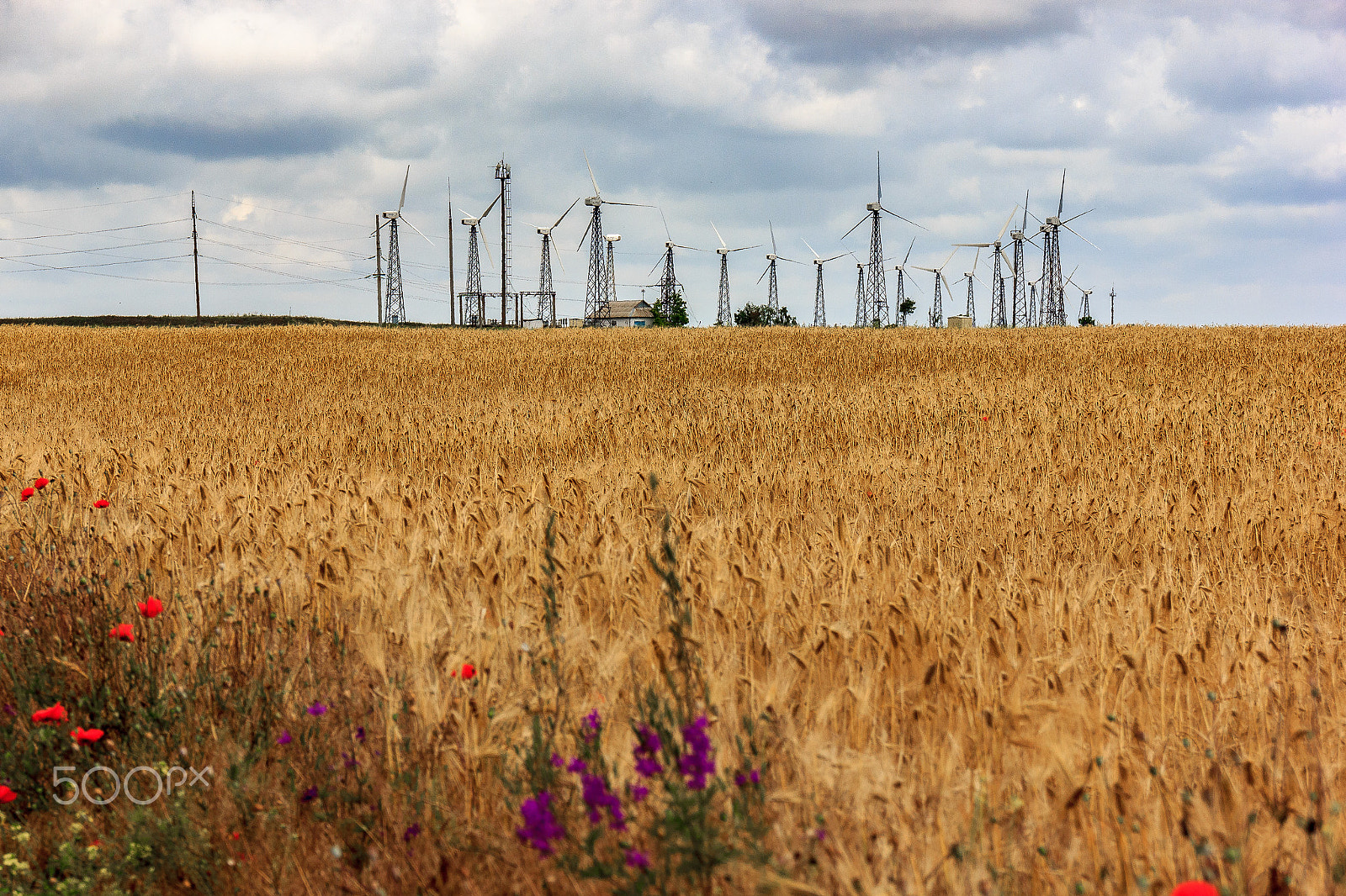 Sigma 18-250mm F3.5-6.3 DC OS HSM sample photo. Wind station photography