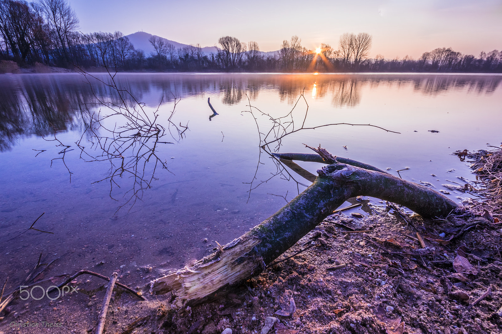 Canon EOS 80D + Sigma 10-20mm F4-5.6 EX DC HSM sample photo. Dead wood photography