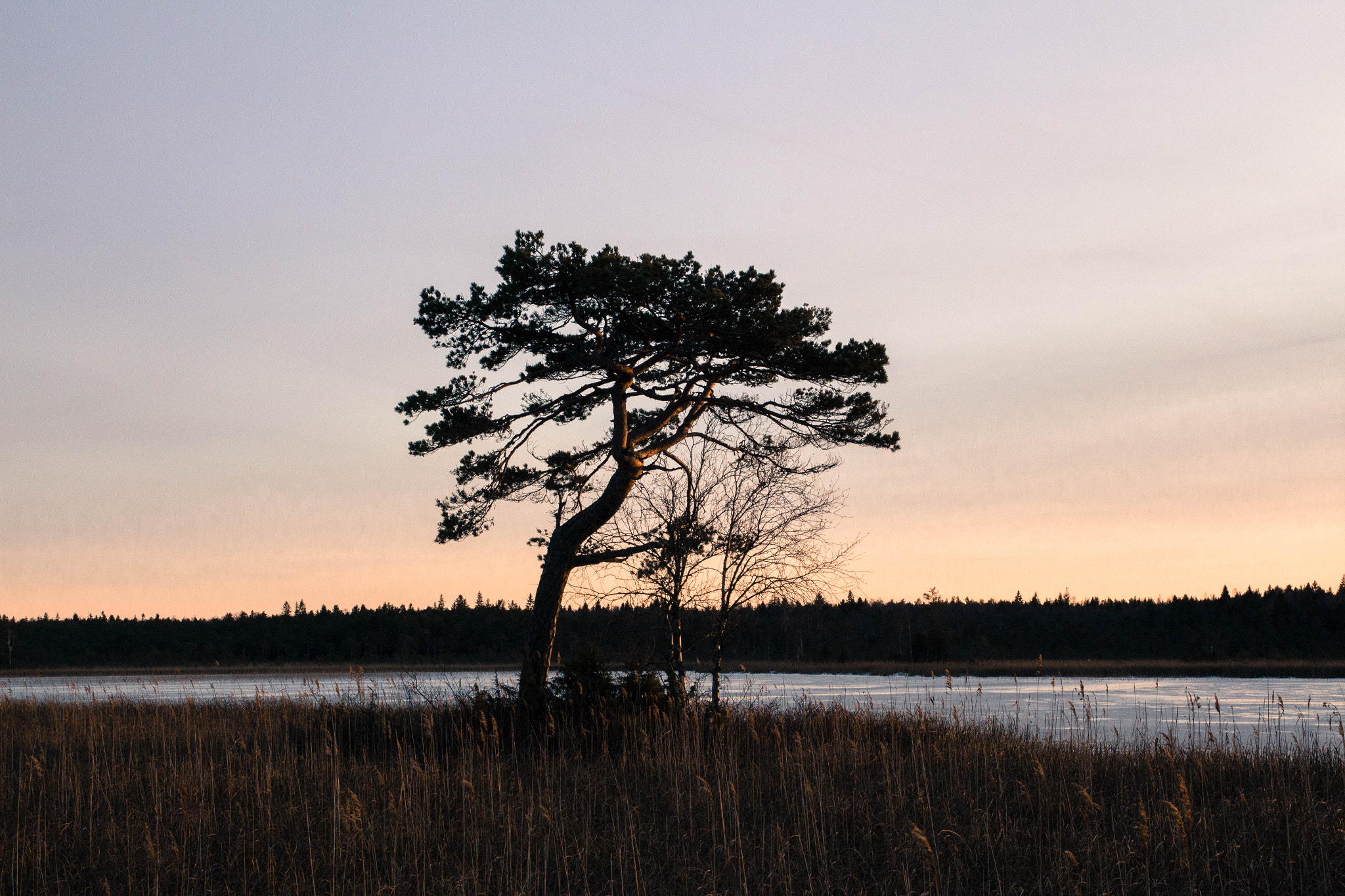 Tamron SP AF 17-50mm F2.8 XR Di II LD Aspherical (IF) sample photo. The last light photography