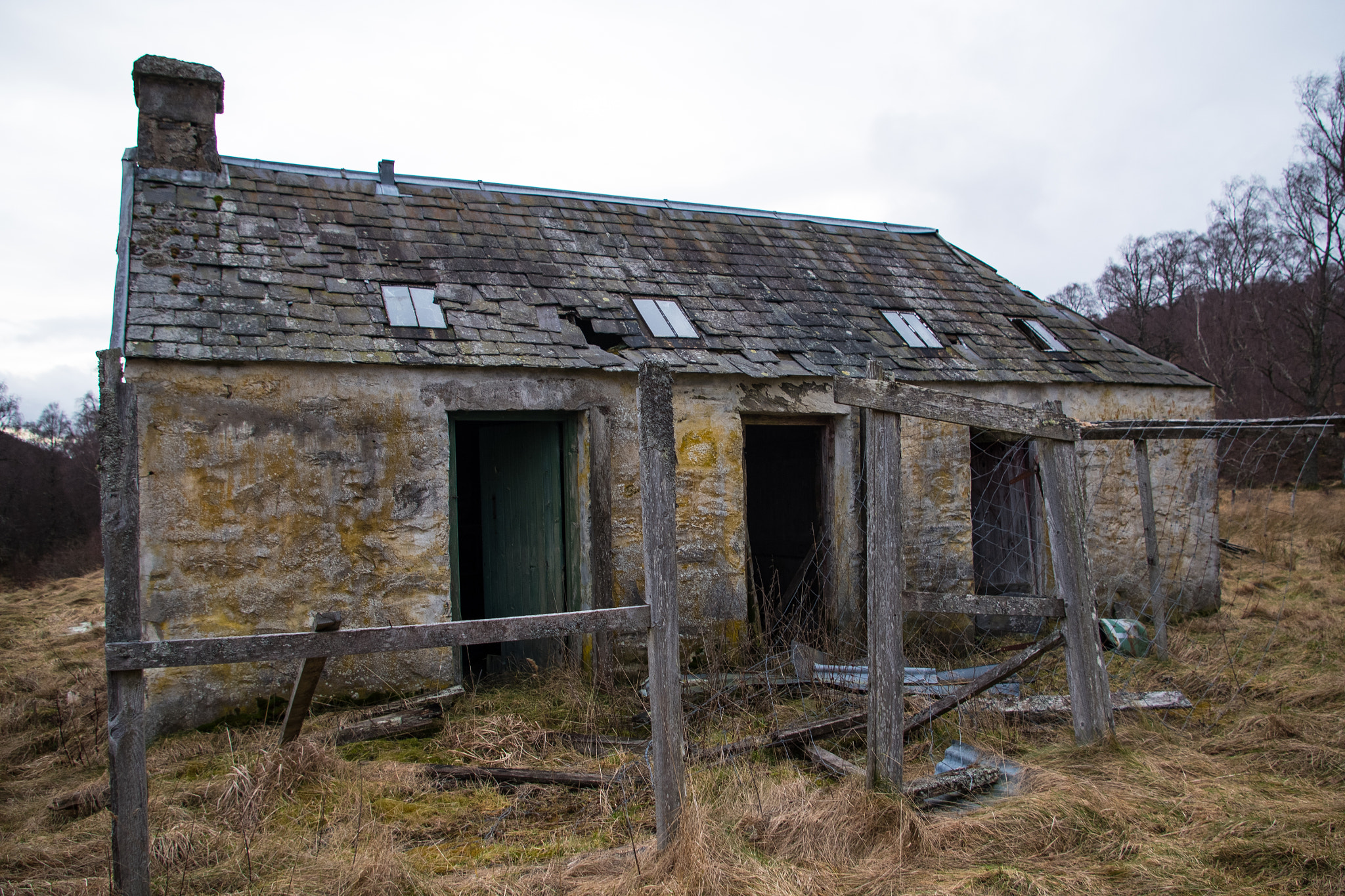 Pentax smc DA 18-55mm F3.5-5.6 AL sample photo. Kennels photography