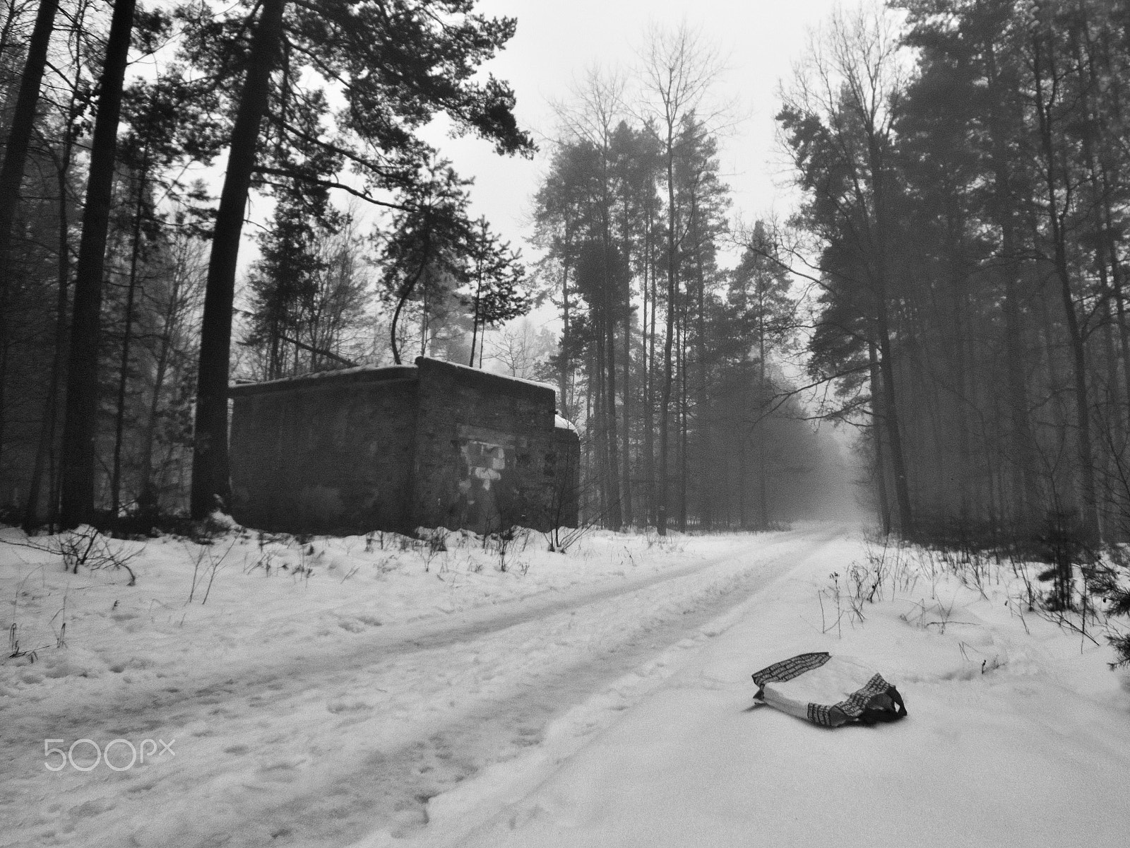 Nikon Coolpix P6000 sample photo. Polythene tack lying in snowy path leading around empty house in czech republic photography