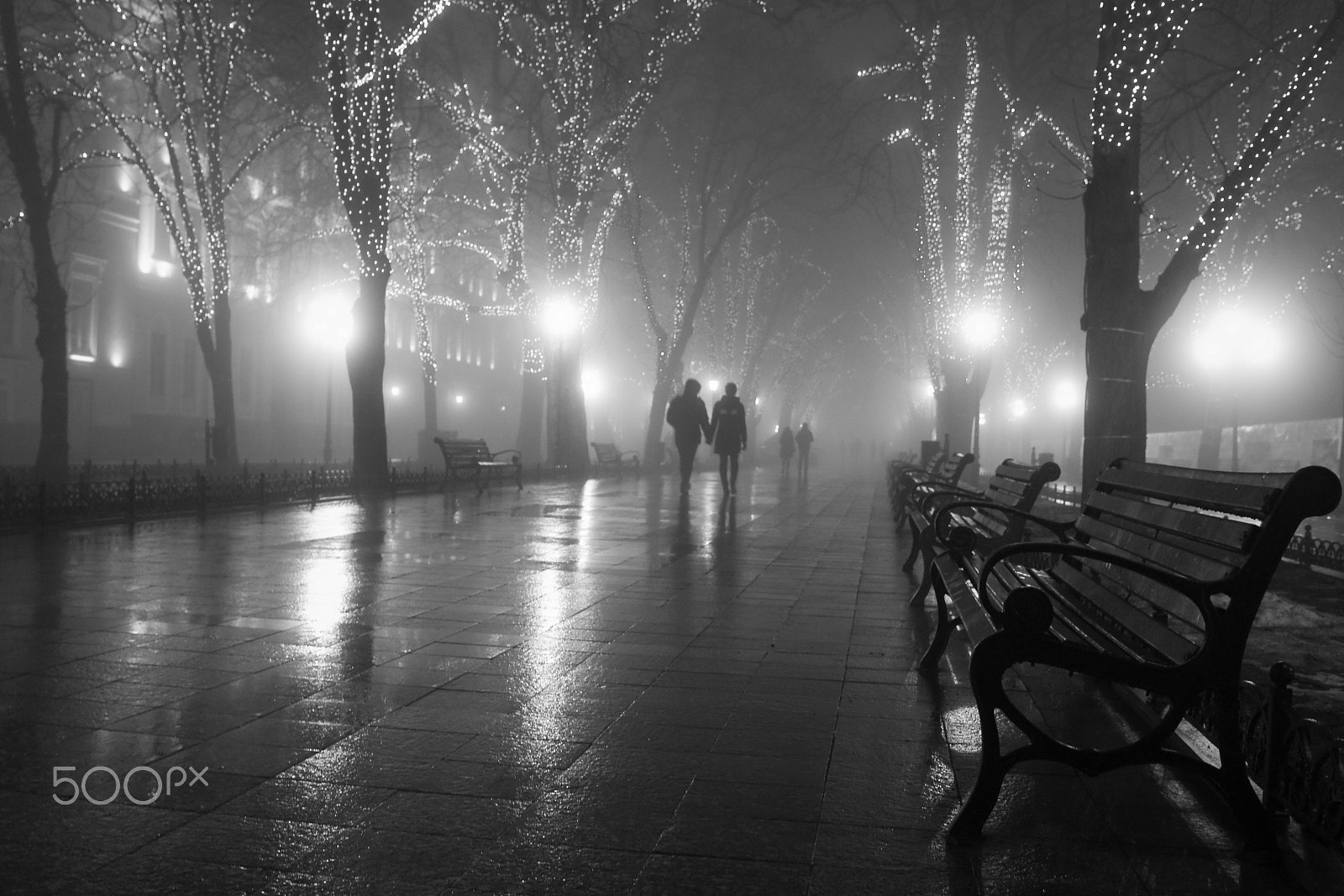 Nikon AF-S Nikkor 24-120mm F4G ED VR sample photo. Meesty promenand photography
