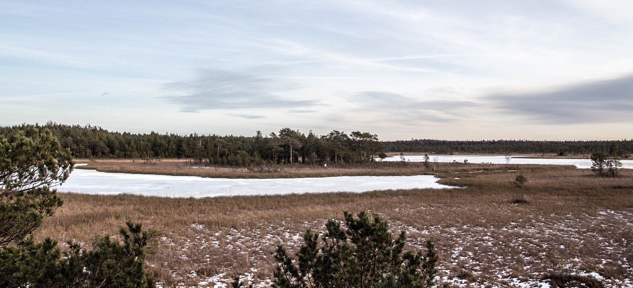 Tamron SP AF 17-50mm F2.8 XR Di II LD Aspherical (IF) sample photo. Valgjärve photography