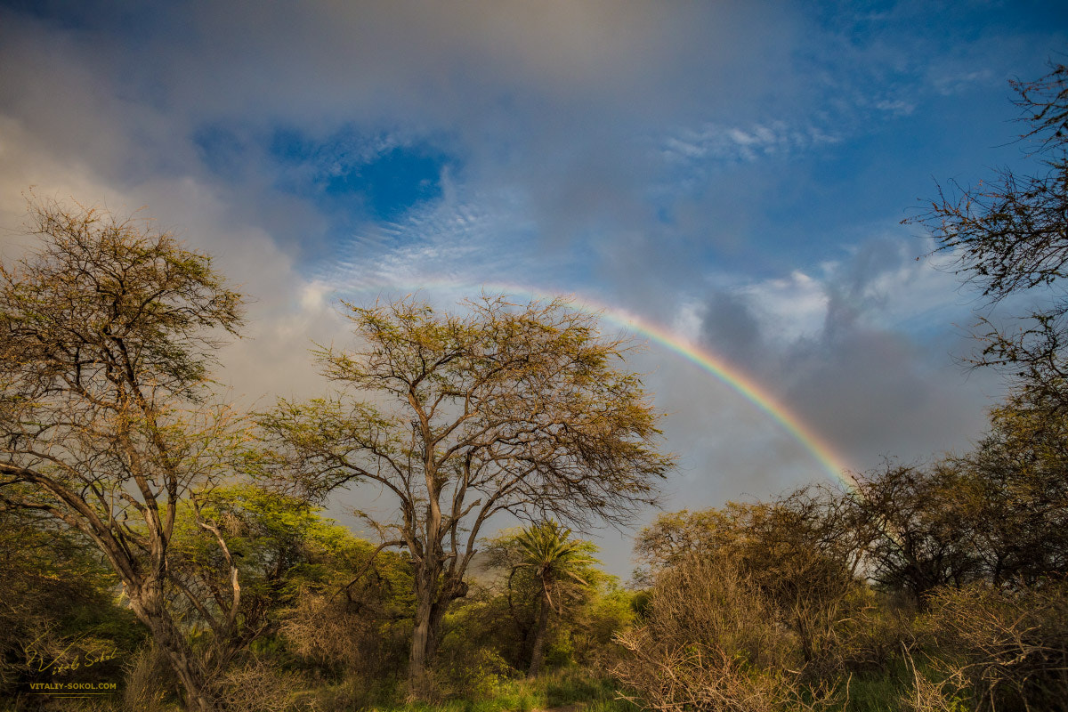 Canon EOS 5DS R + Canon EF 20mm F2.8 USM sample photo. Aloha state photography