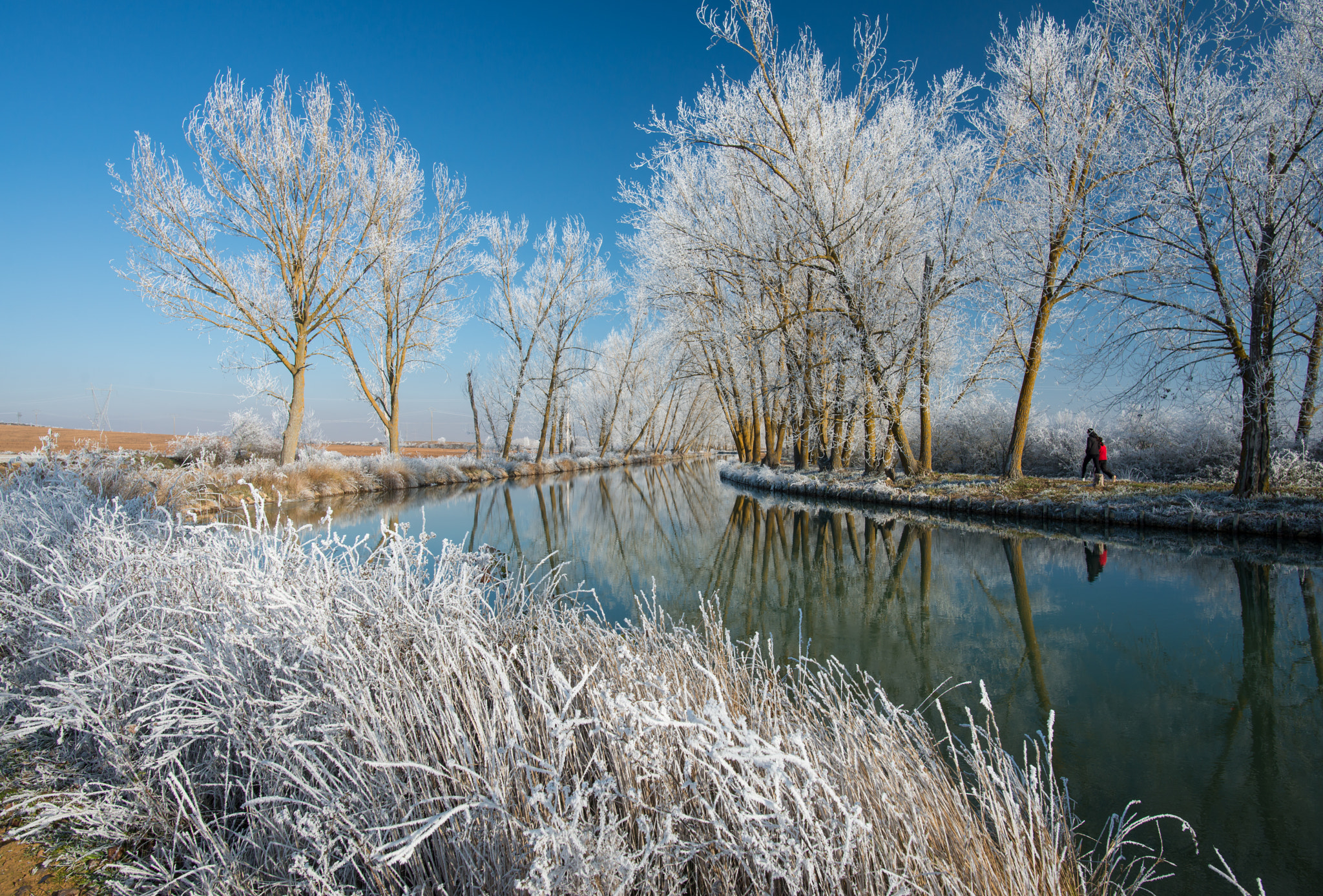 Nikon D800 sample photo. Helada en el canal photography