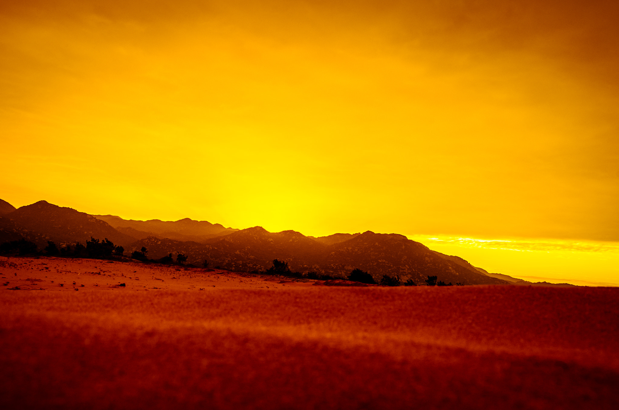 Pentax K-50 sample photo. Sand & sun photography