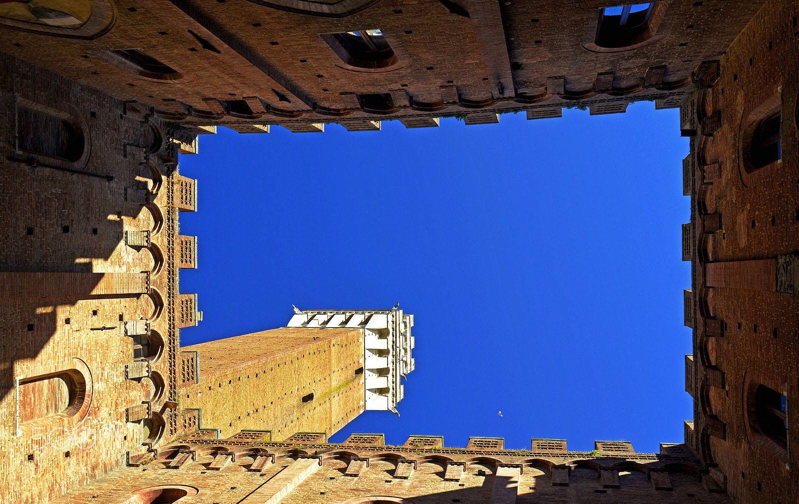 Nikon AF Nikkor 28mm F2.8D sample photo. Siena tower ii photography