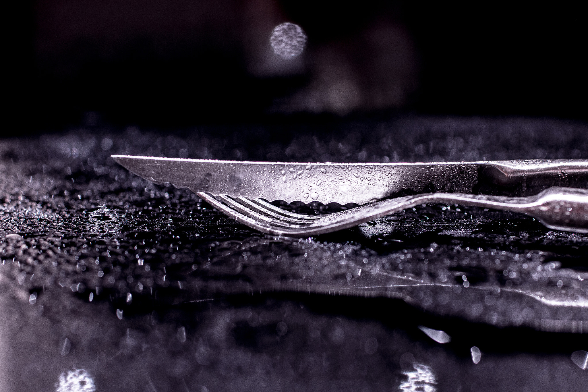Canon EOS 70D sample photo. Knife and fork photography
