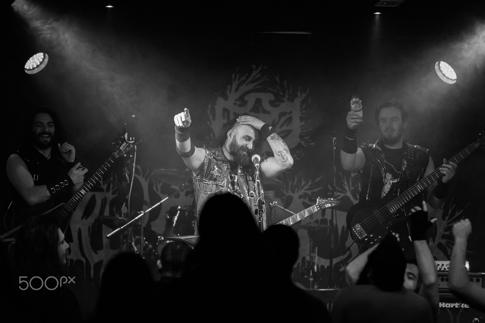 Nikon D600 sample photo. Ulvedharr @ centrale rock (co) photography