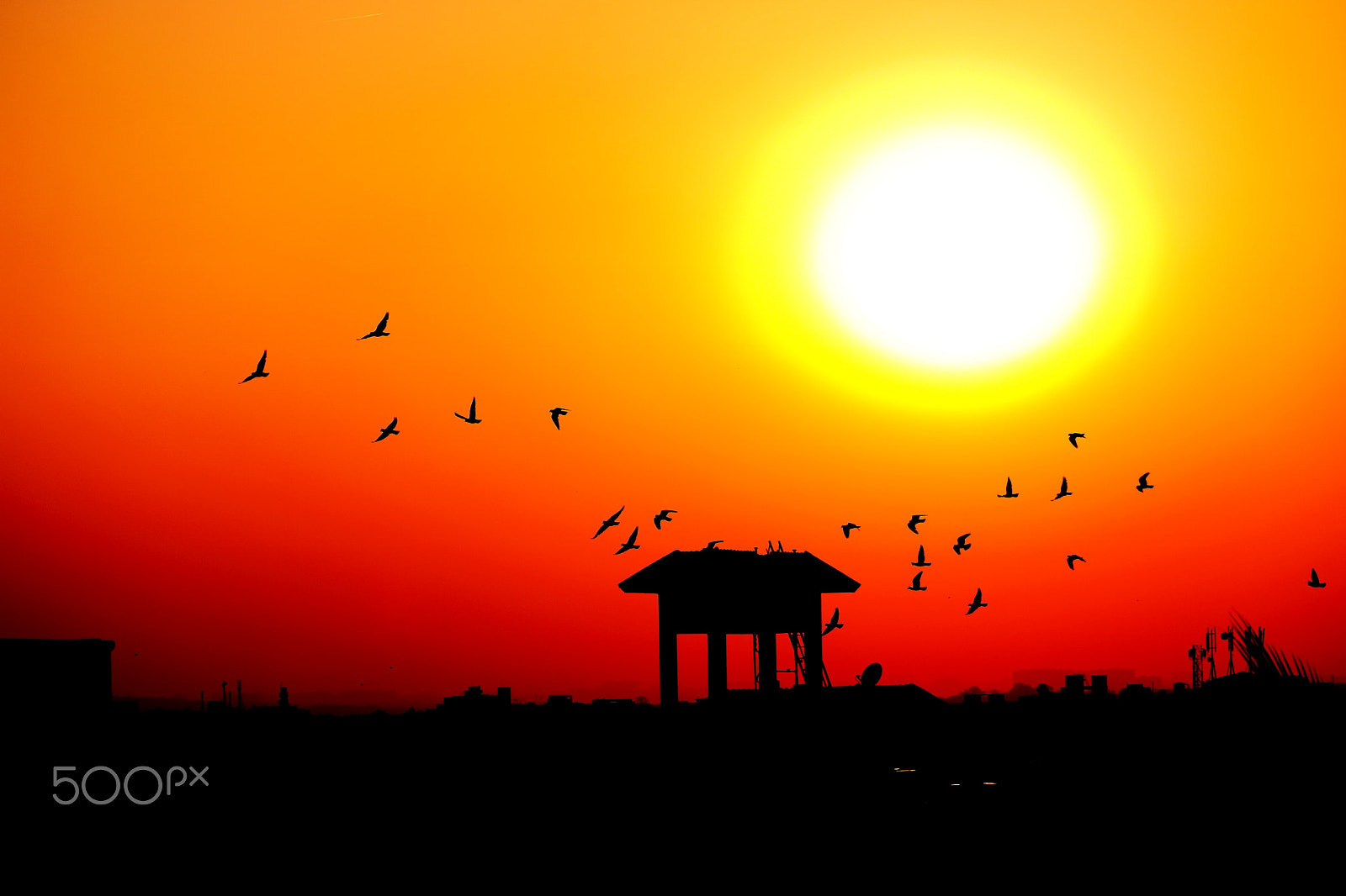 Canon EOS 750D (EOS Rebel T6i / EOS Kiss X8i) sample photo. The hustling sunset photography