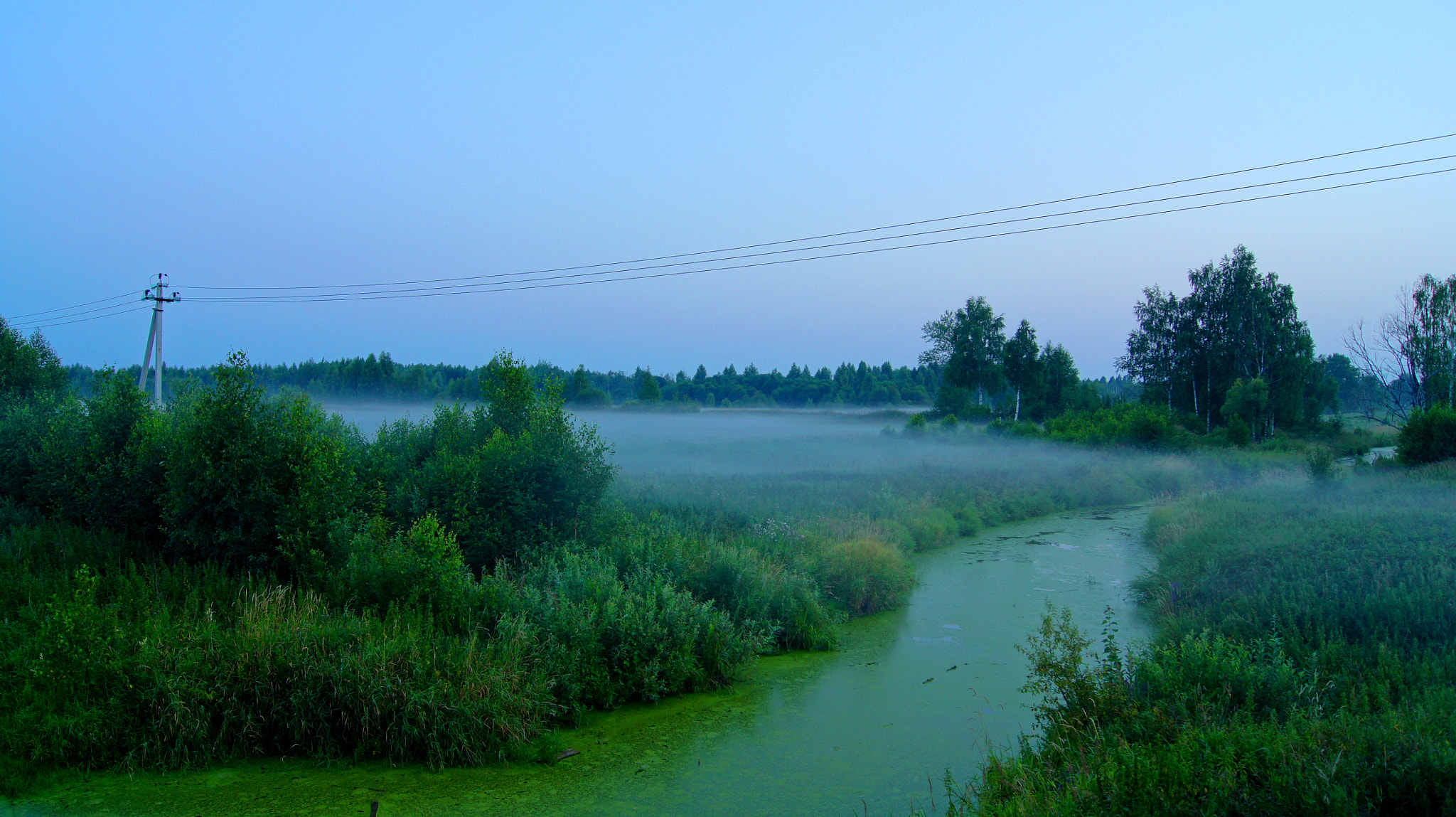 Sony Alpha DSLR-A550 + Sony DT 18-55mm F3.5-5.6 SAM sample photo. Ryazanovka, moscow region, russia. photography