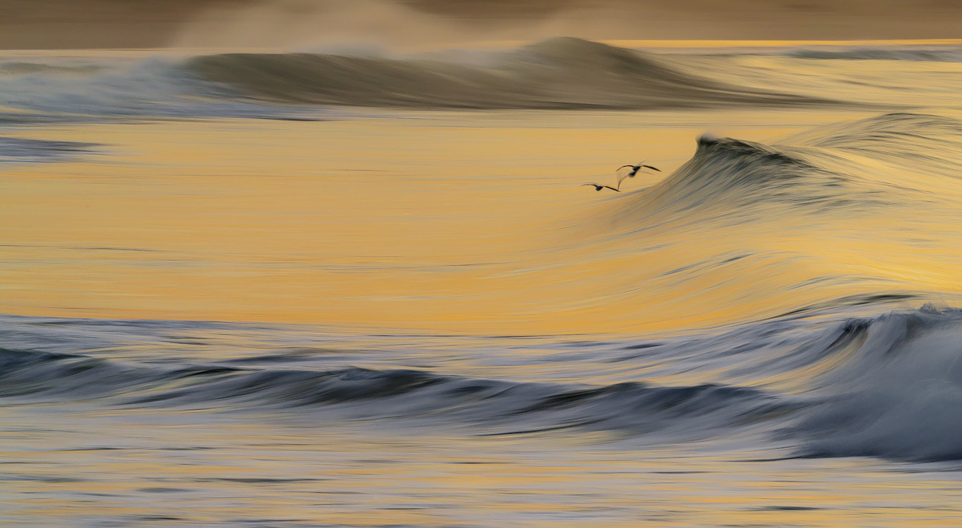 Canon EF 400mm F2.8L IS USM sample photo. Below the radar photography