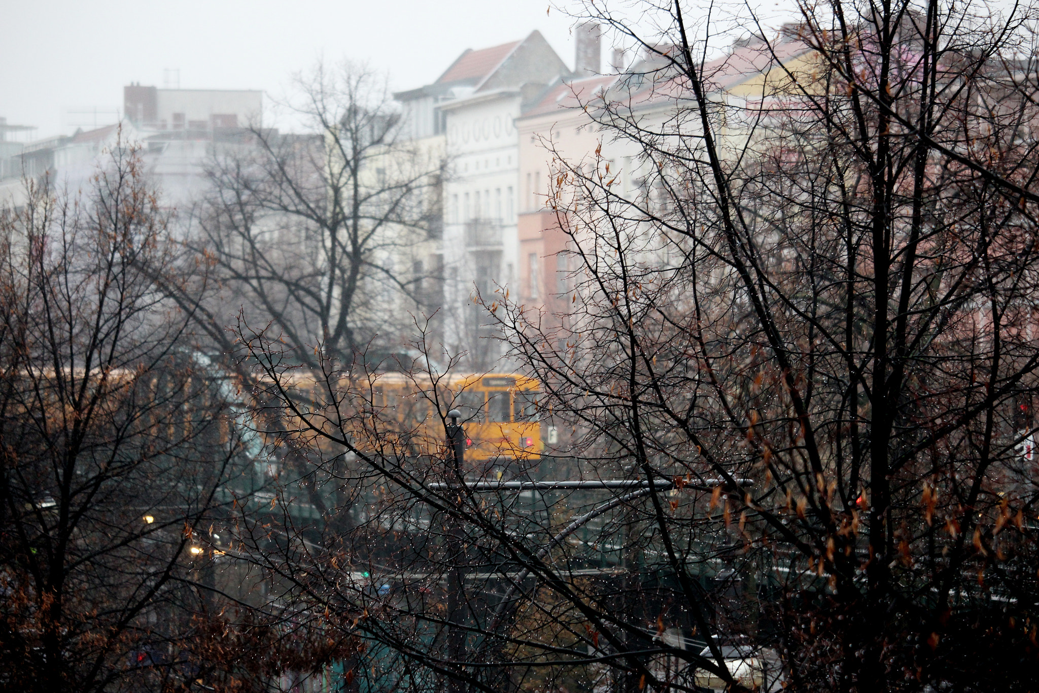 Canon EF-S 55-250mm F4-5.6 IS STM sample photo. !img photography
