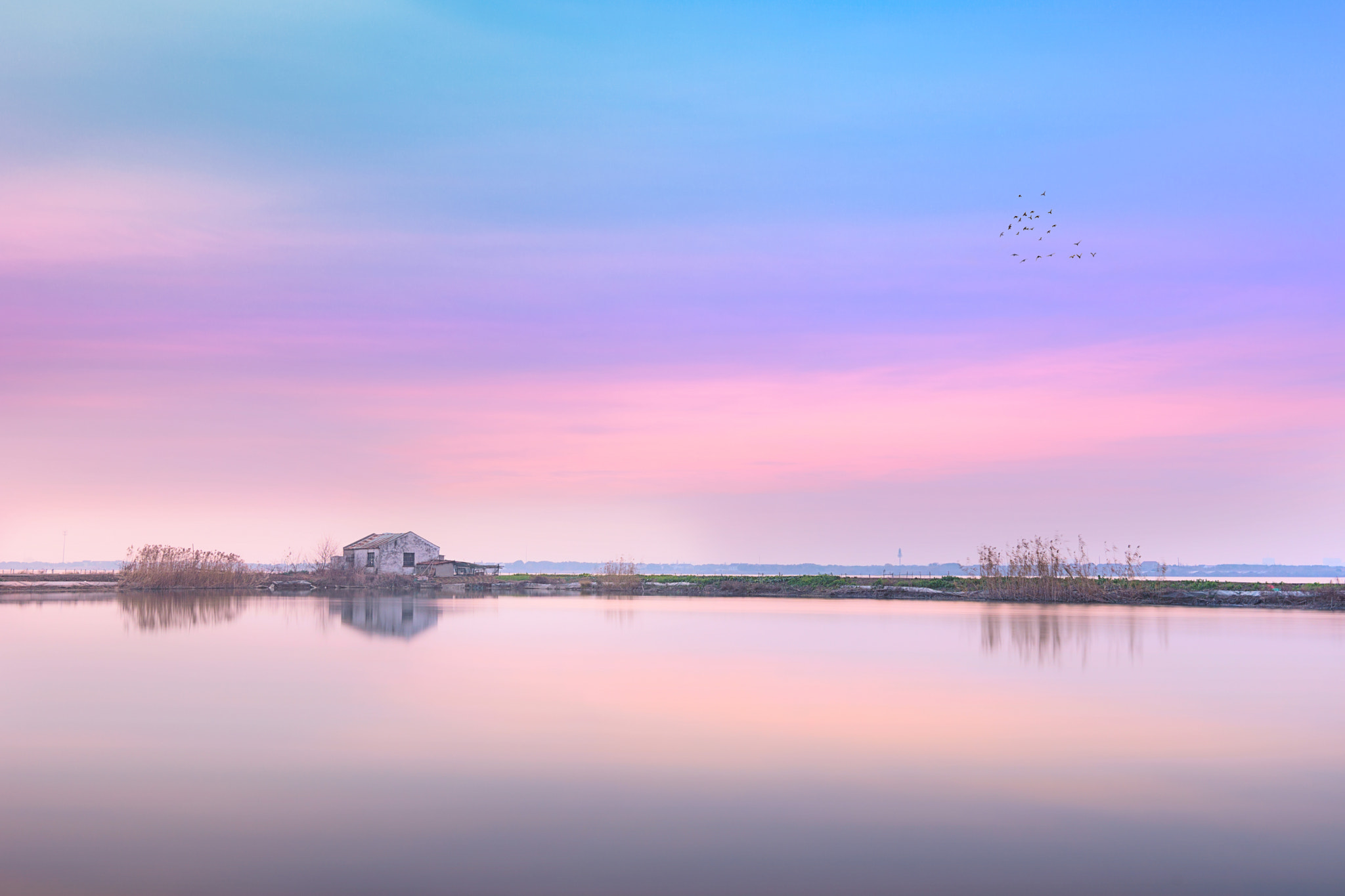 Sony Alpha a99 sample photo. Morning colors photography
