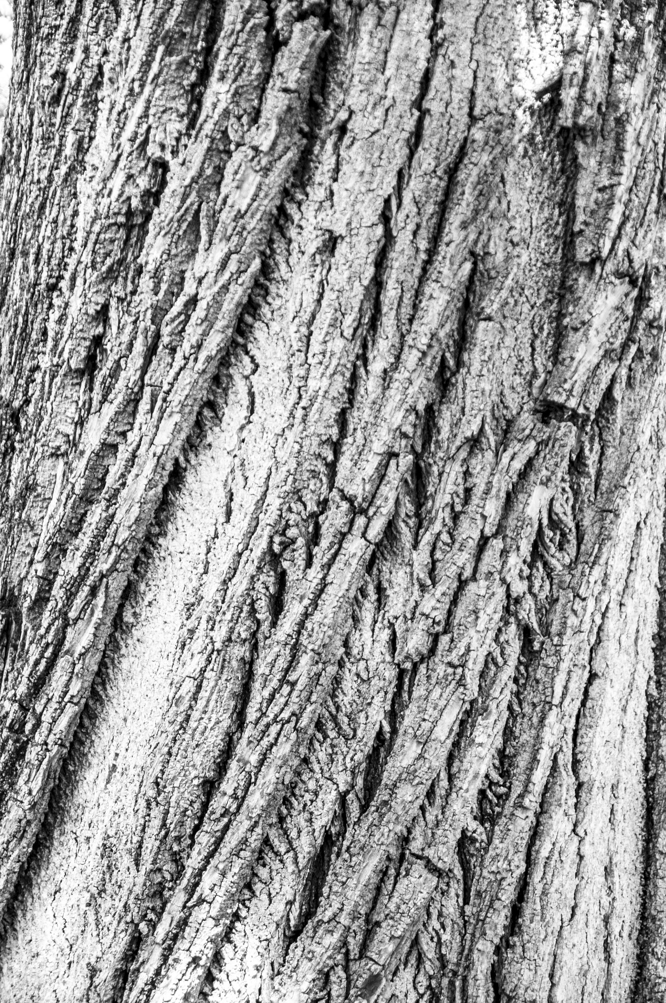 Nikon D300S sample photo. Wooden pattern photography