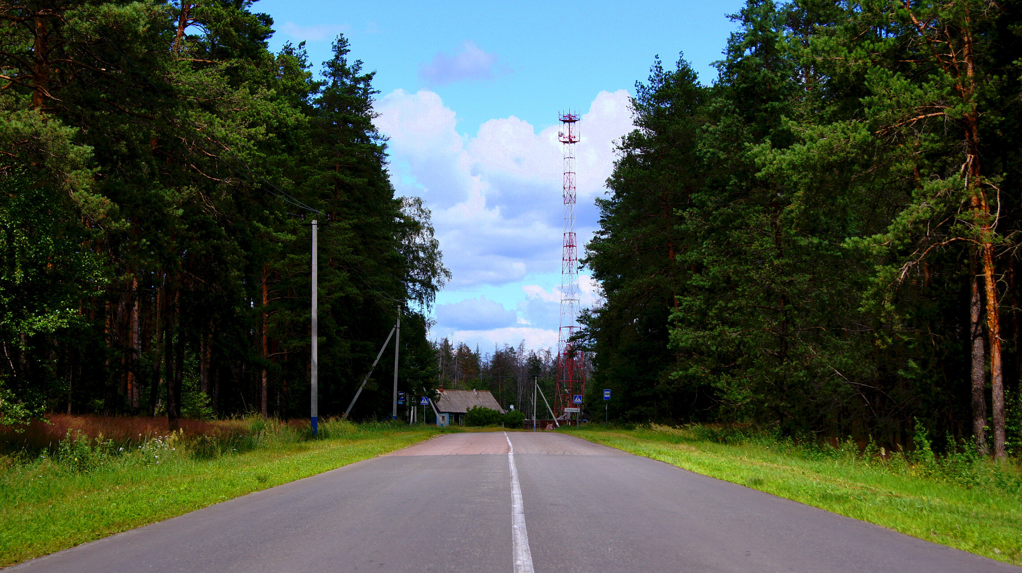 Sony Alpha DSLR-A550 + Sony DT 18-55mm F3.5-5.6 SAM sample photo. Olshany, moscow region, russia, july 2016. photography