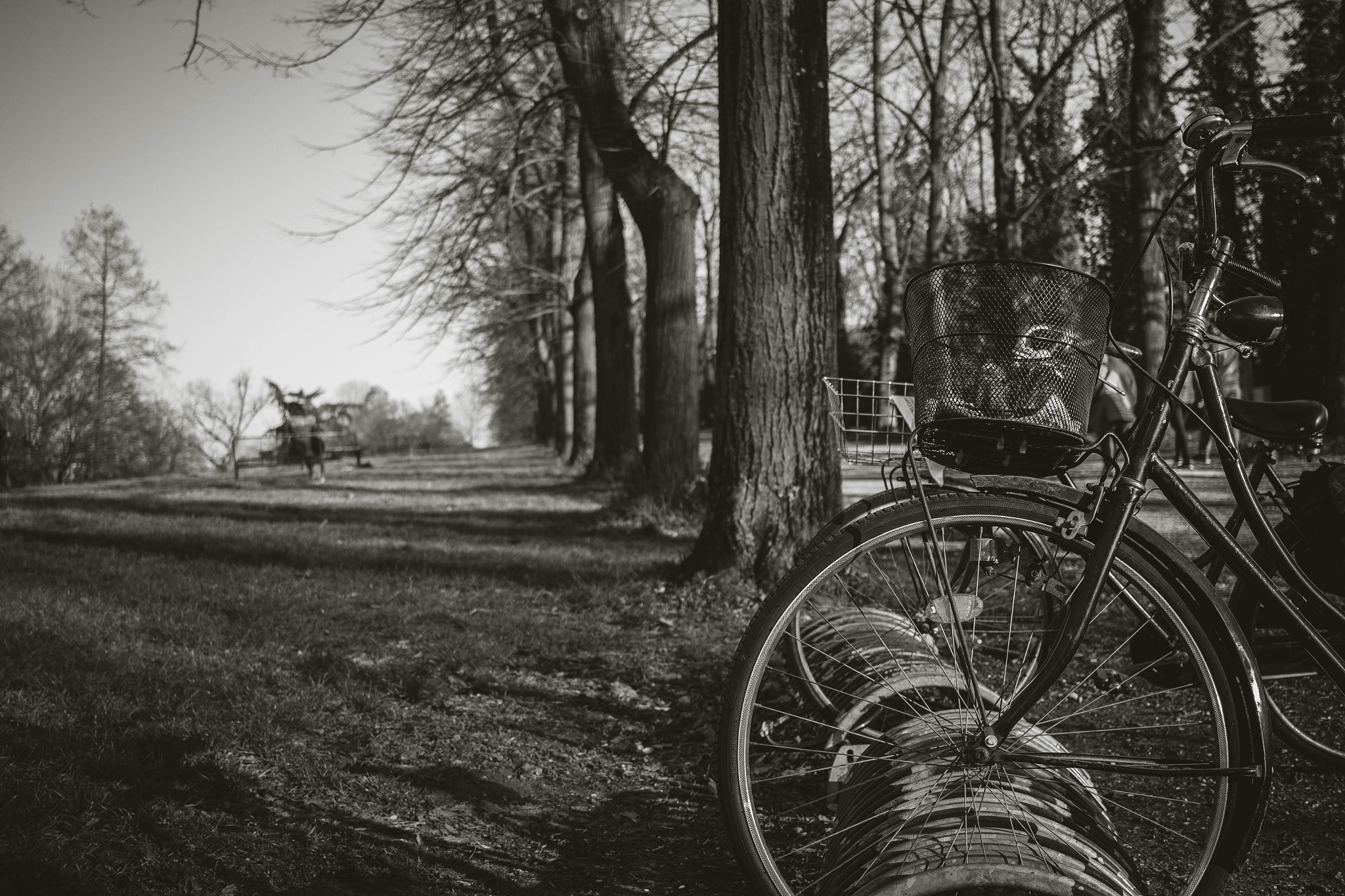 Canon EF-S 24mm F2.8 STM sample photo. Bike photography