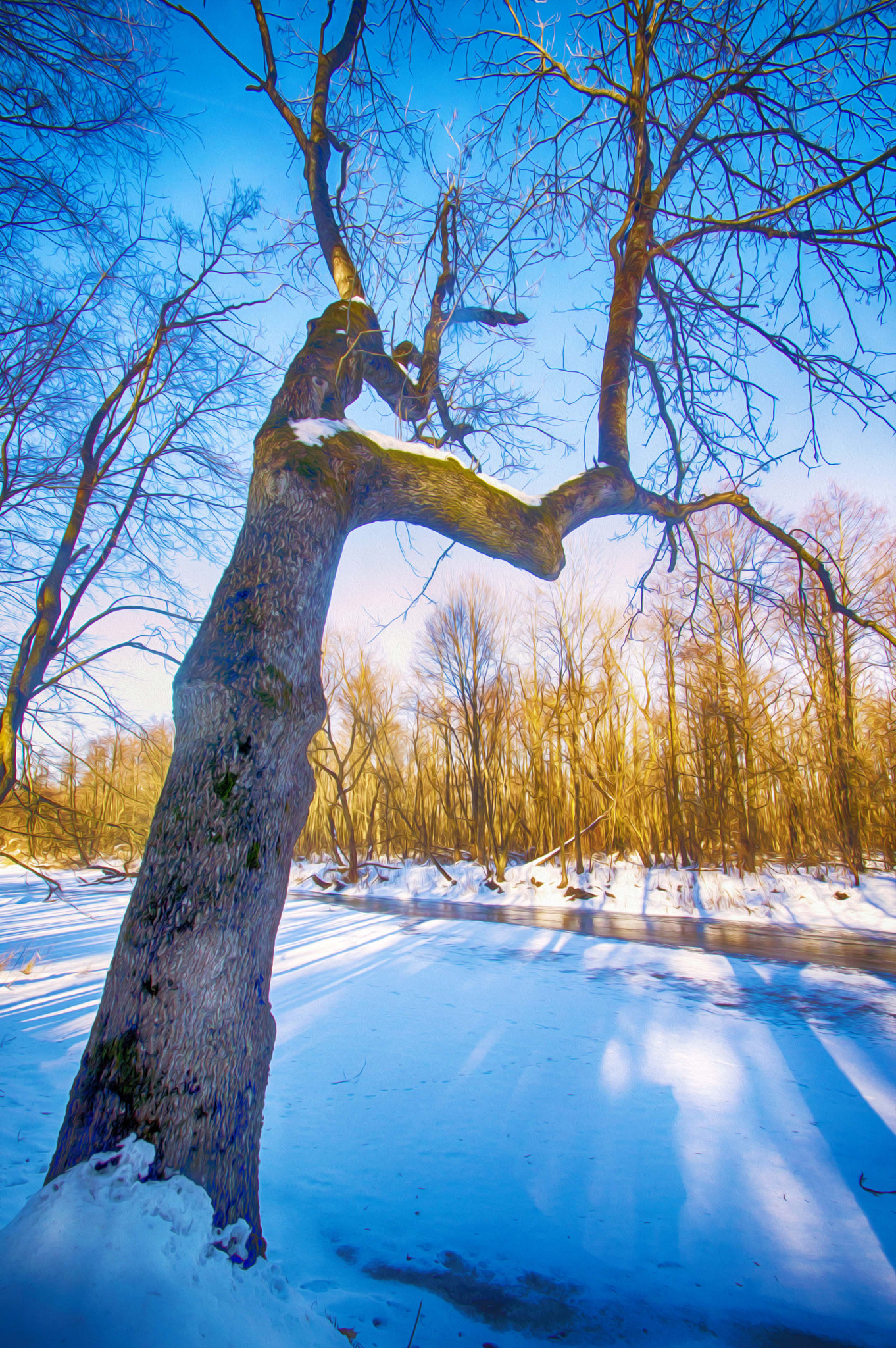 Nikon D3200 sample photo. Зимой у реки photography