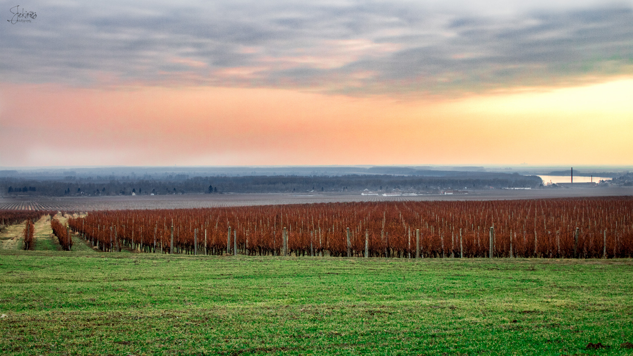Canon EOS 750D (EOS Rebel T6i / EOS Kiss X8i) sample photo. Erdut vineyards #1 photography