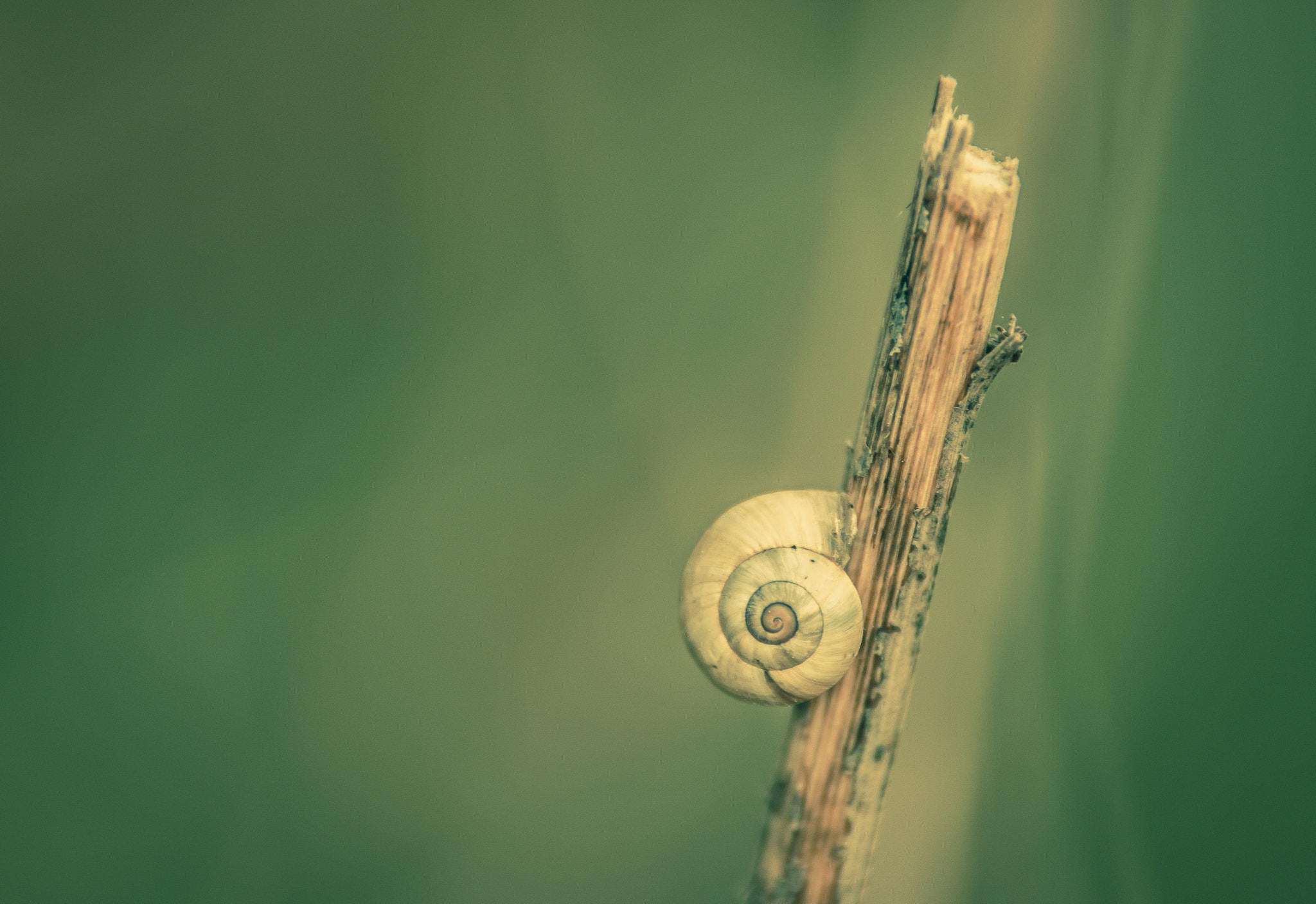 Pentax K-3 sample photo. Malos tiempos photography