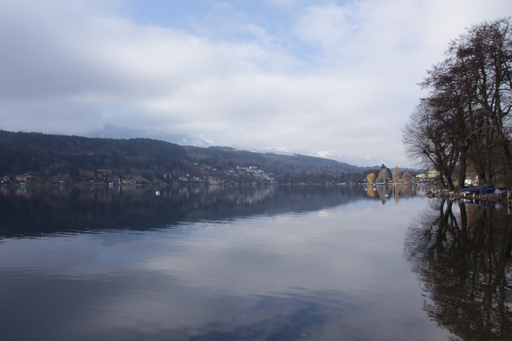 Sigma 18-250mm F3.5-6.3 DC OS HSM sample photo. Reflection game photography