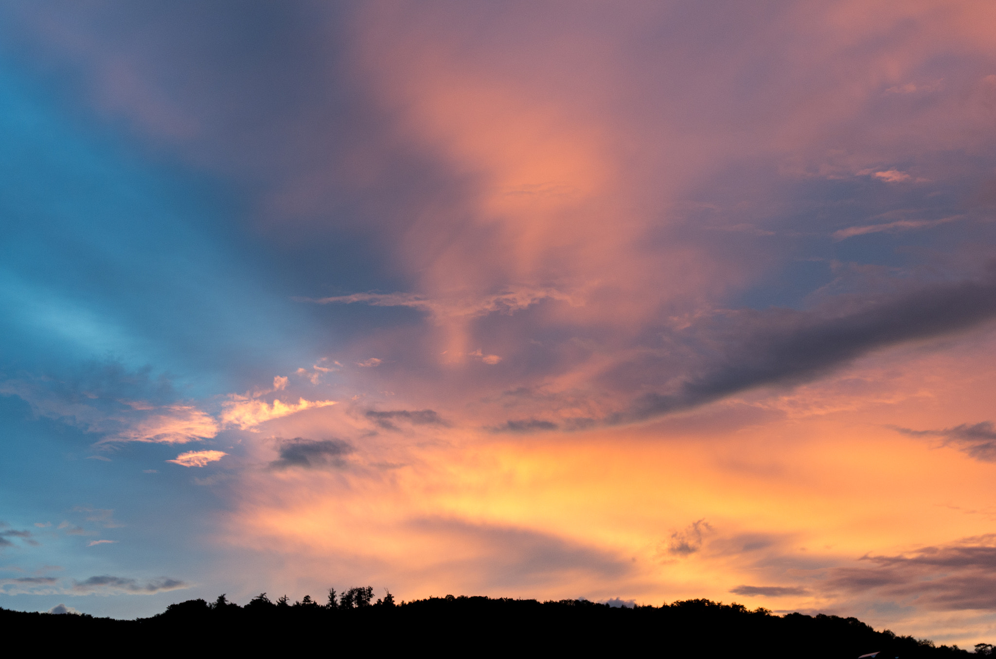 Sigma 17-50mm F2.8 EX DC HSM sample photo. Ptx photography