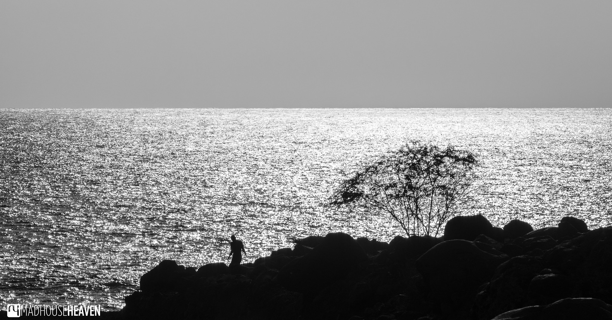 Olympus OM-D E-M1 sample photo. Silhouette at sunset photography