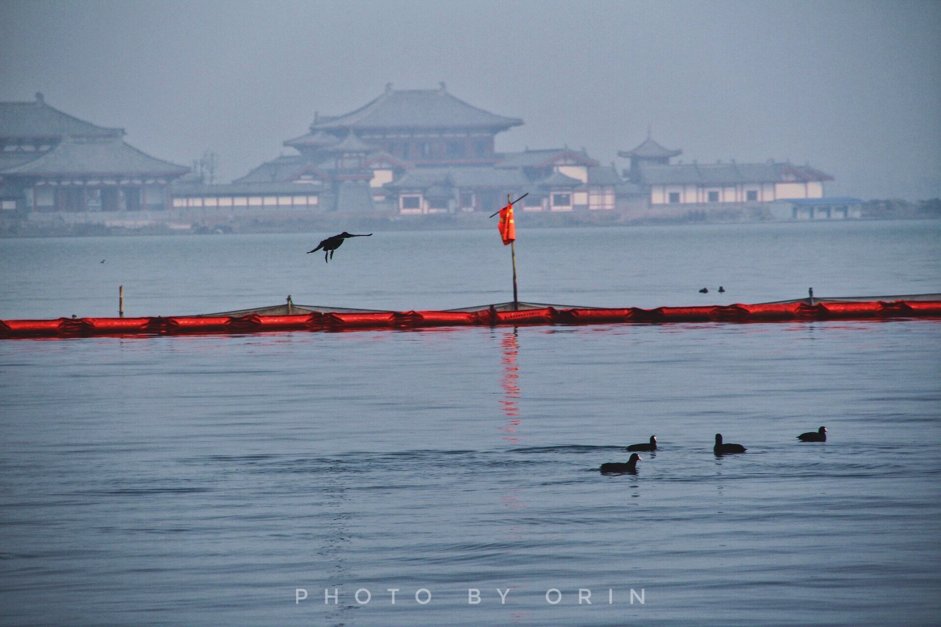 Canon TS-E 90mm F2.8 Tilt-Shift sample photo