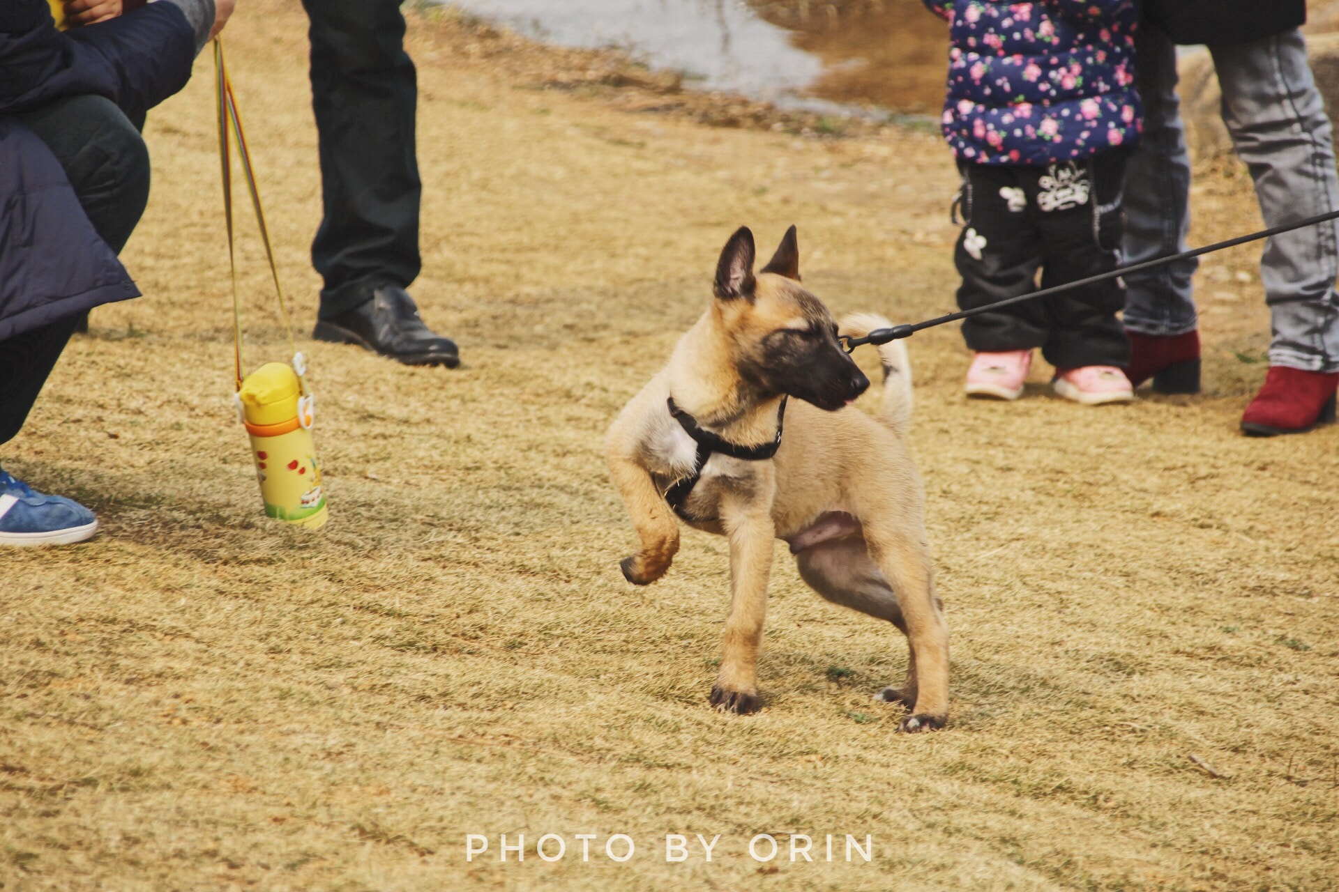 Canon TS-E 90mm F2.8 Tilt-Shift sample photo