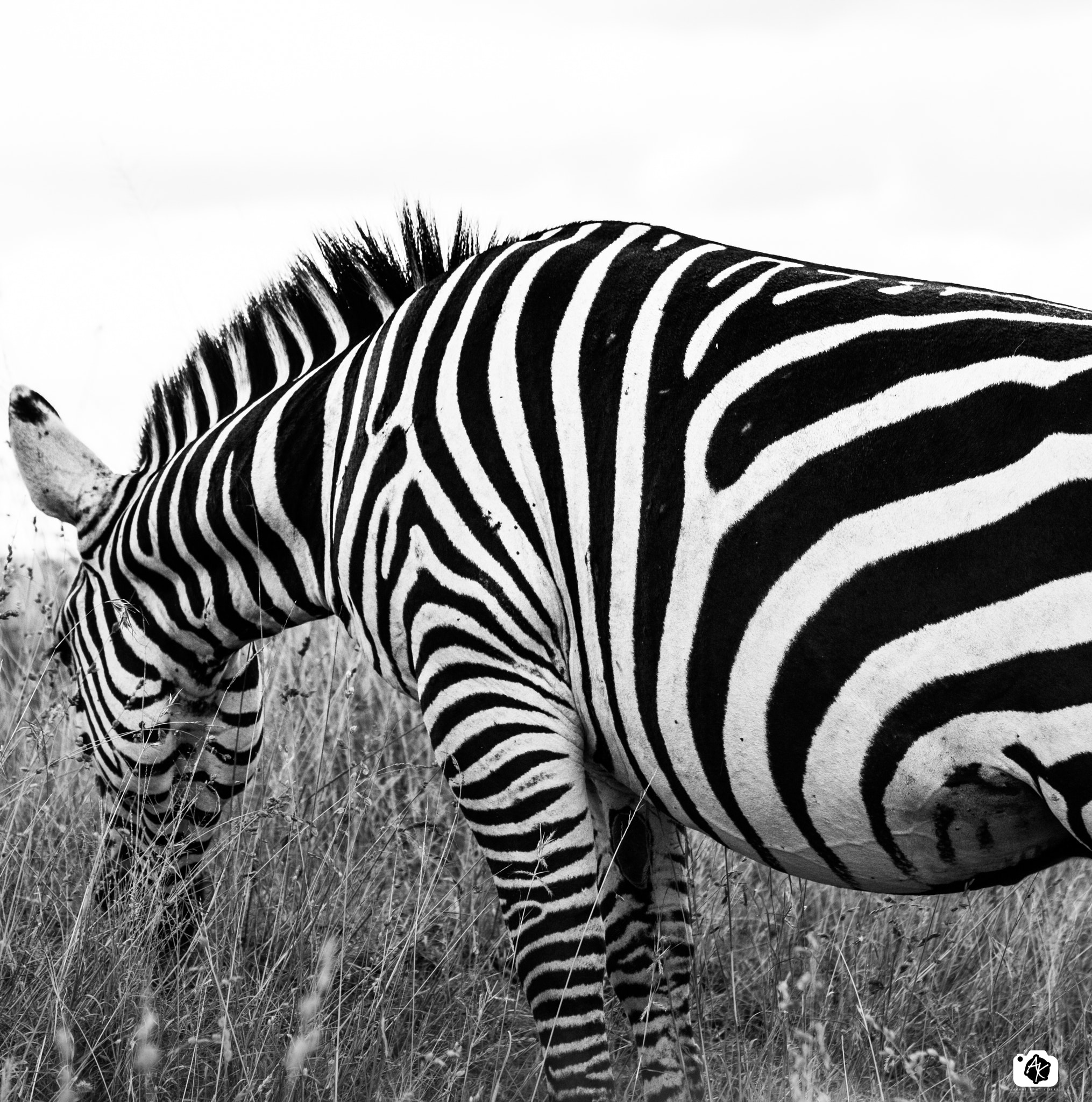 Canon EF 70-300mm F4-5.6 IS USM sample photo. Colorless spectrum photography