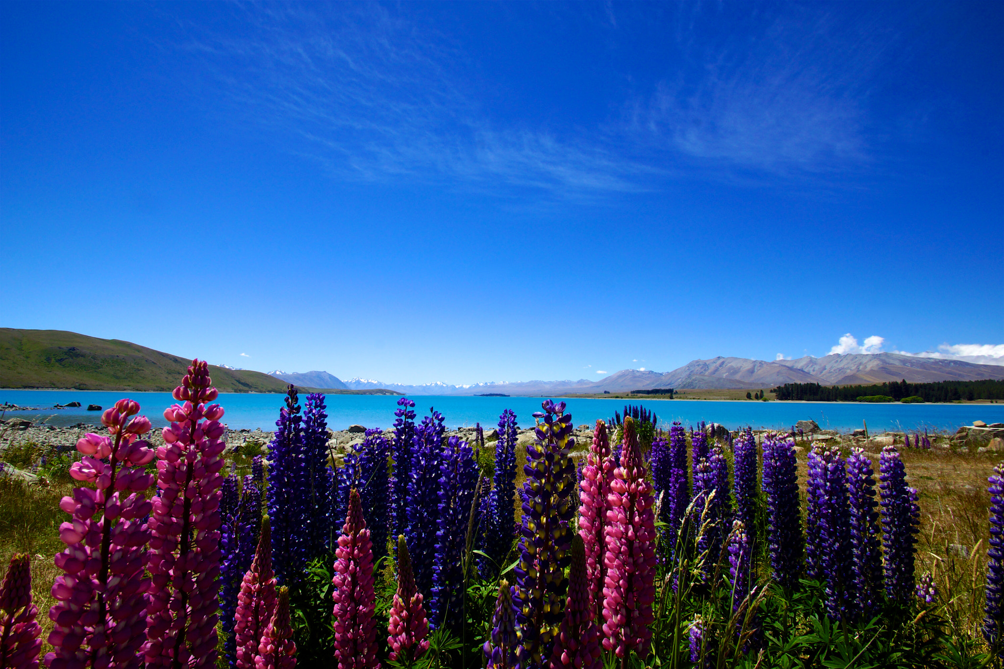 Sony SLT-A77 sample photo. Silence at lake tekapo photography