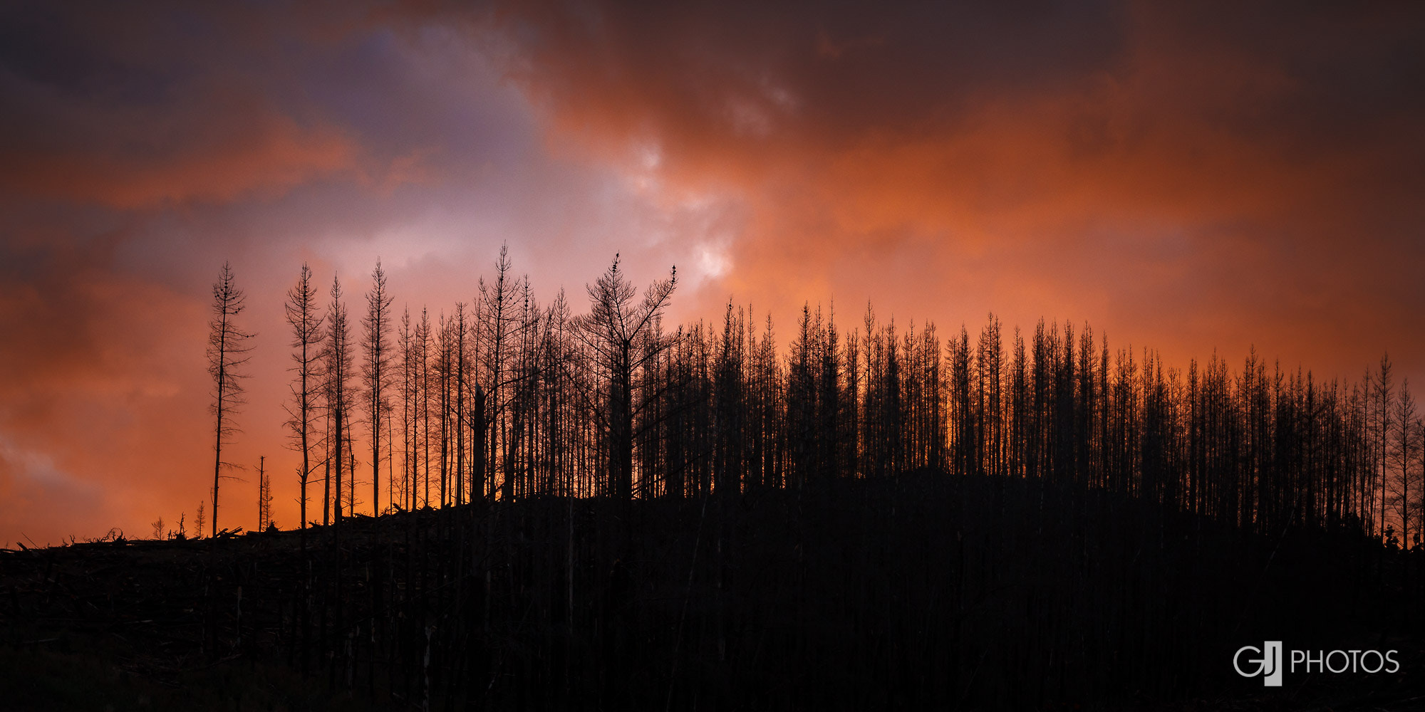 Canon EF 24-70mm F2.8L II USM sample photo. Moody morning photography