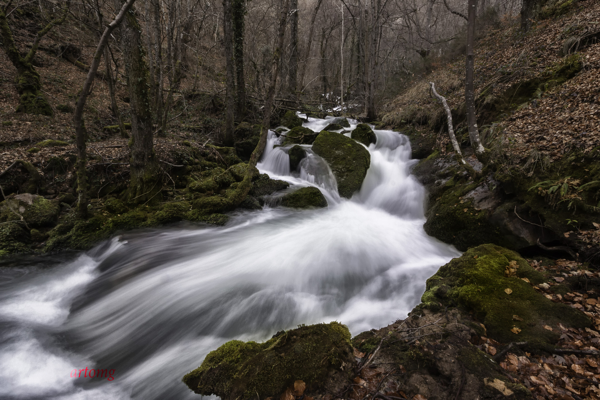 Canon EOS 50D sample photo. Zirantza photography