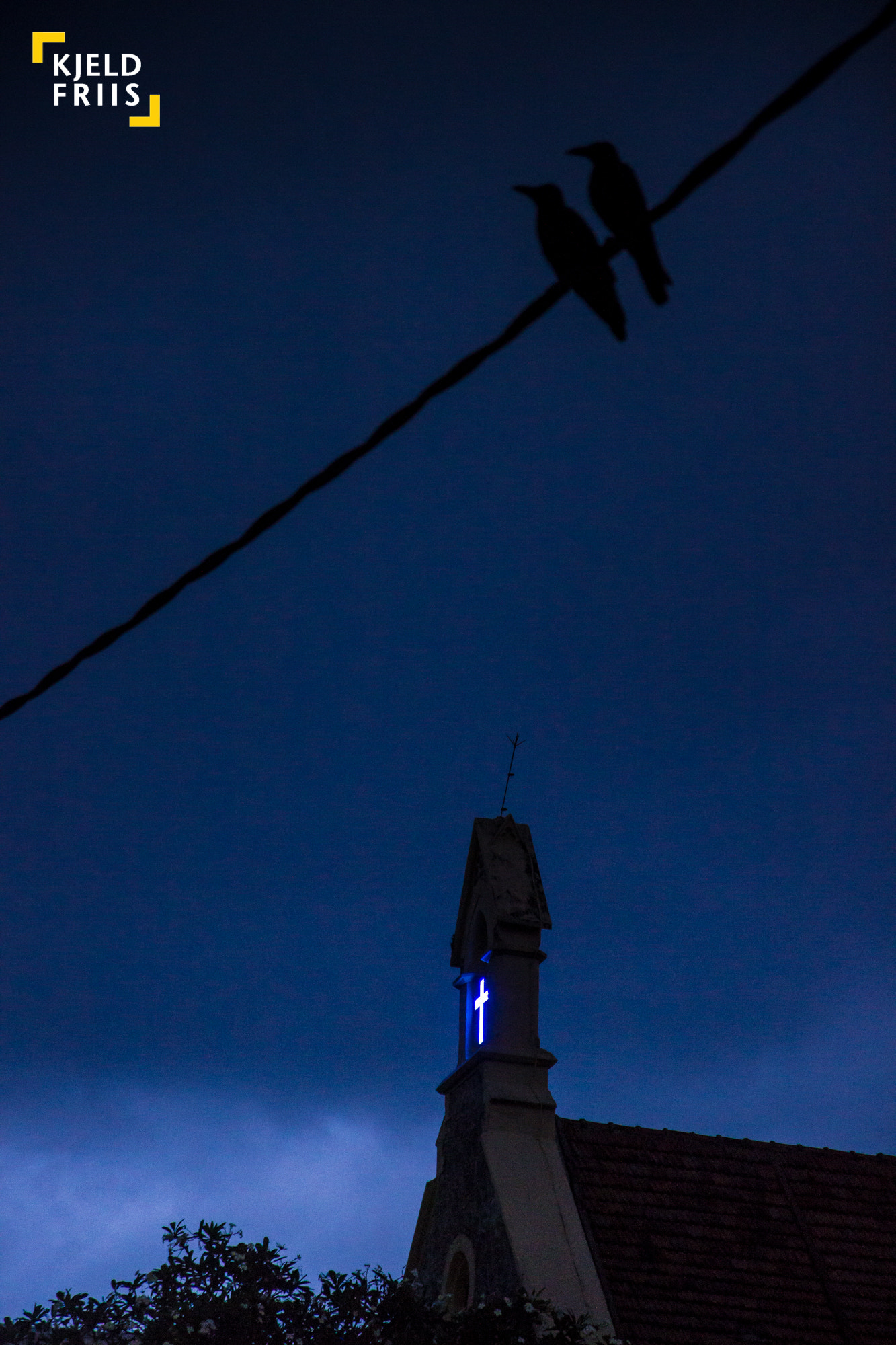 Canon EOS 600D (Rebel EOS T3i / EOS Kiss X5) sample photo. Dark omen photography
