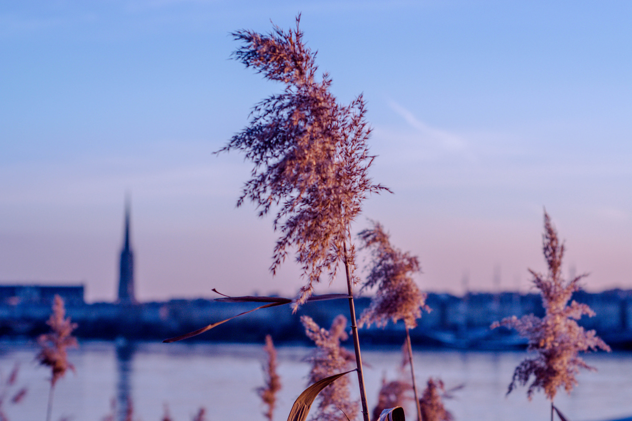 Nikon D5200 + Nikon AF Nikkor 50mm F1.8D sample photo. Bordeaux photography