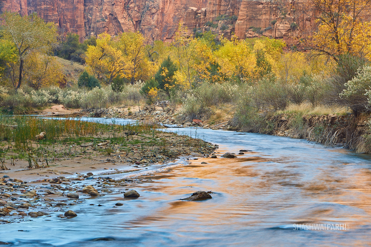 Canon EOS 5D Mark IV + Canon EF 70-200mm F2.8L IS USM sample photo. Virgin river and fall colors in zion photography