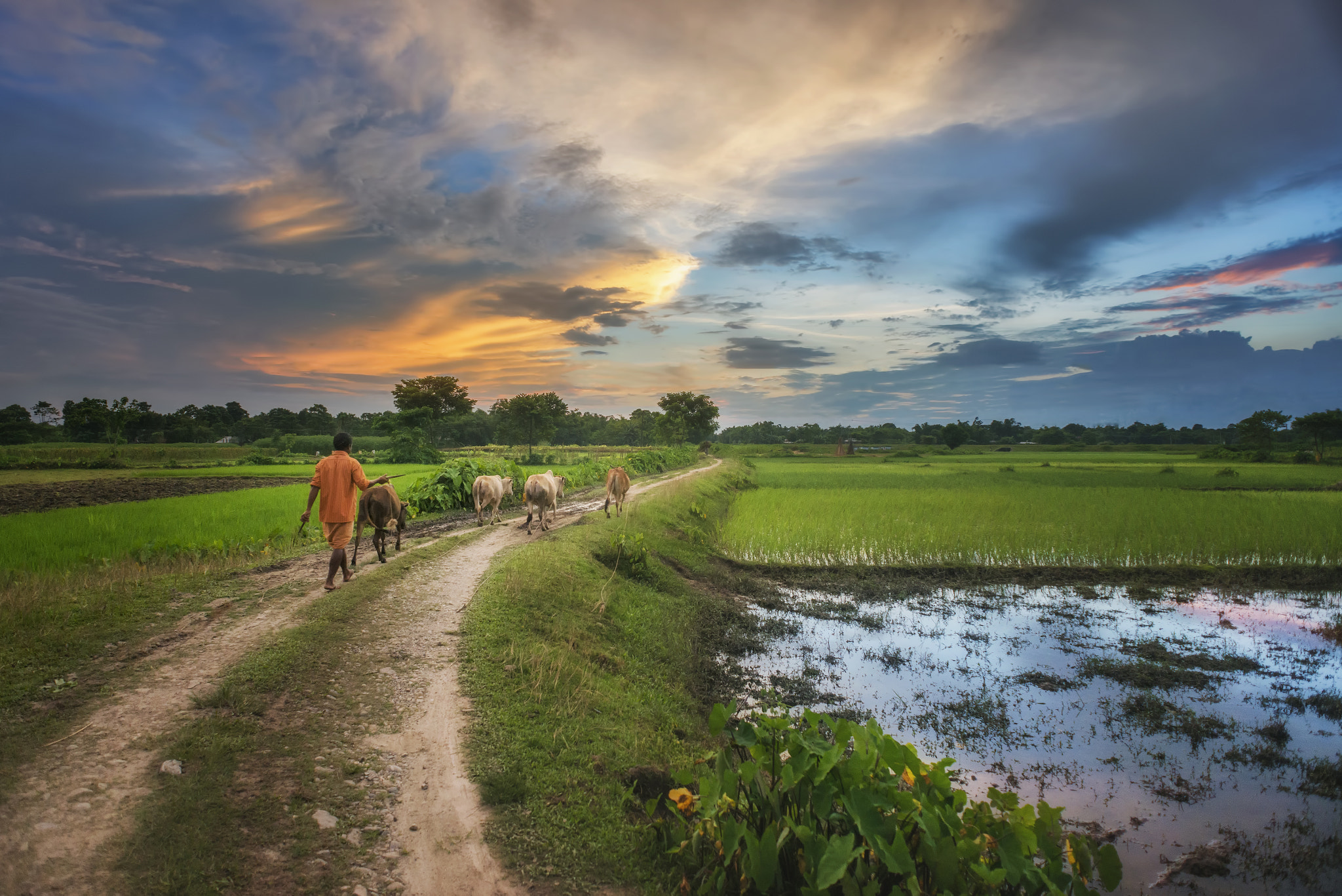 Nikon D800 + Nikon AF Nikkor 20mm F2.8D sample photo. Rural landscape of india photography