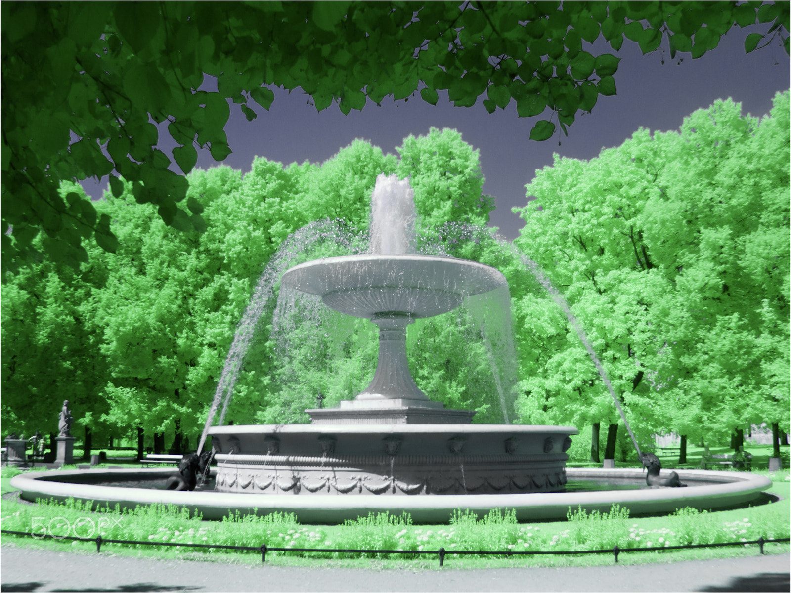 Olympus SP320 sample photo. Fountain in saxon garden photography