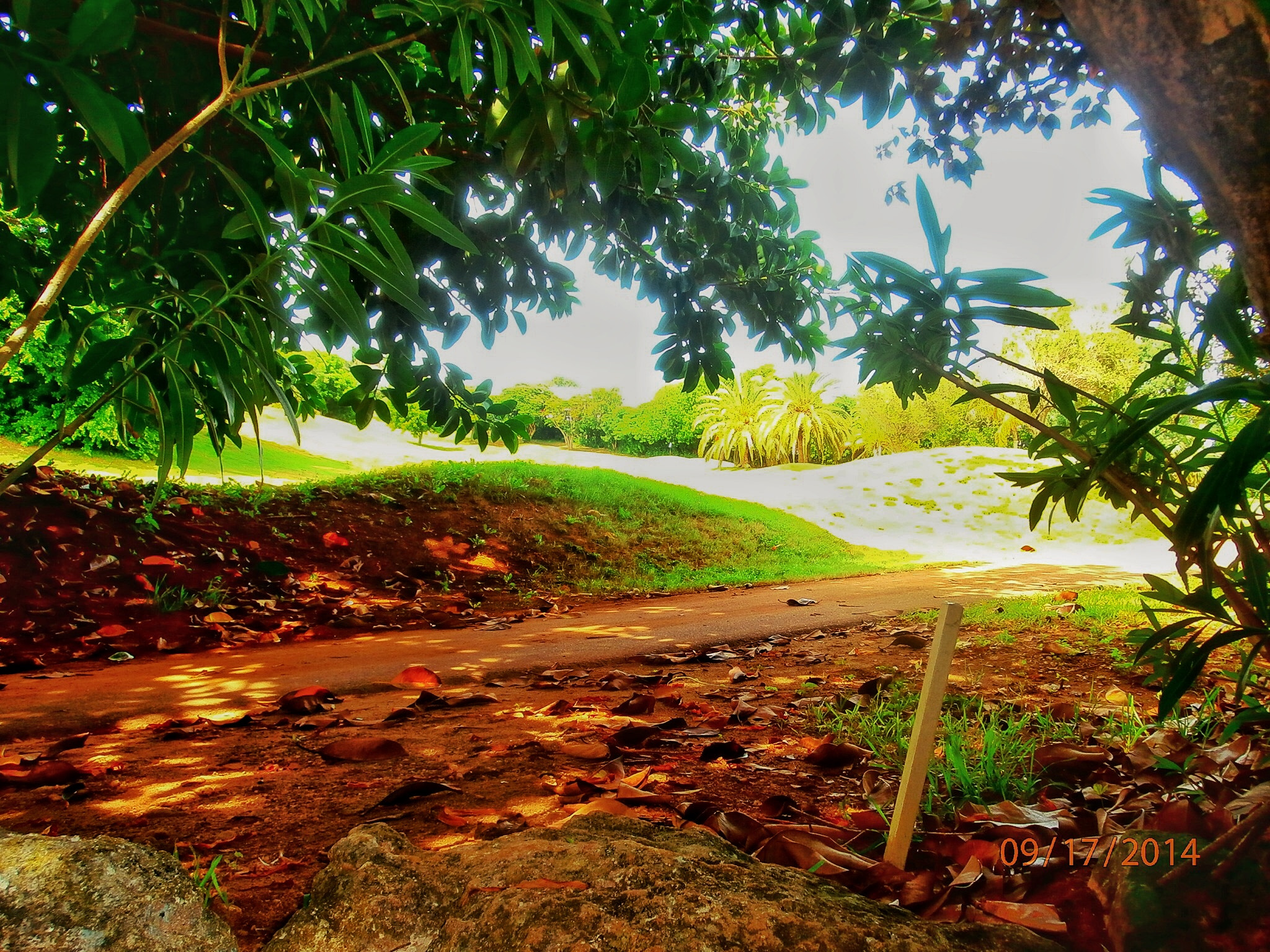 Olympus VR340,D750 sample photo. Shaded path taken near belmont golf course bermuda. photography