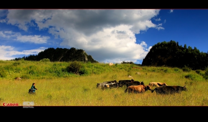 Canon EOS 50D + Canon EF 17-40mm F4L USM sample photo. Zhagana photography